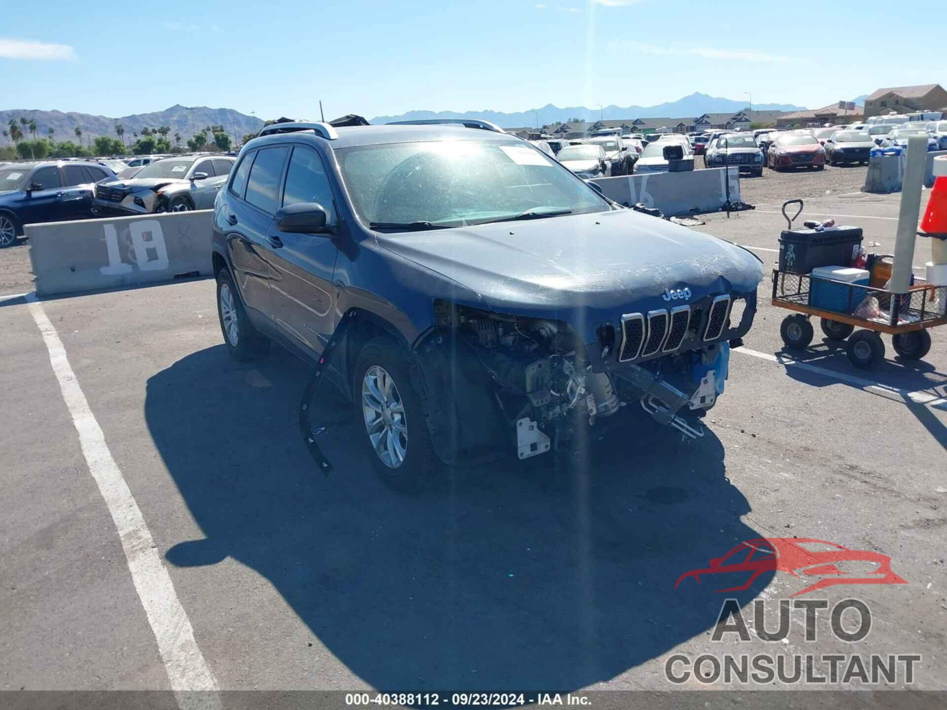 JEEP CHEROKEE 2020 - 1C4PJLCB9LD653921