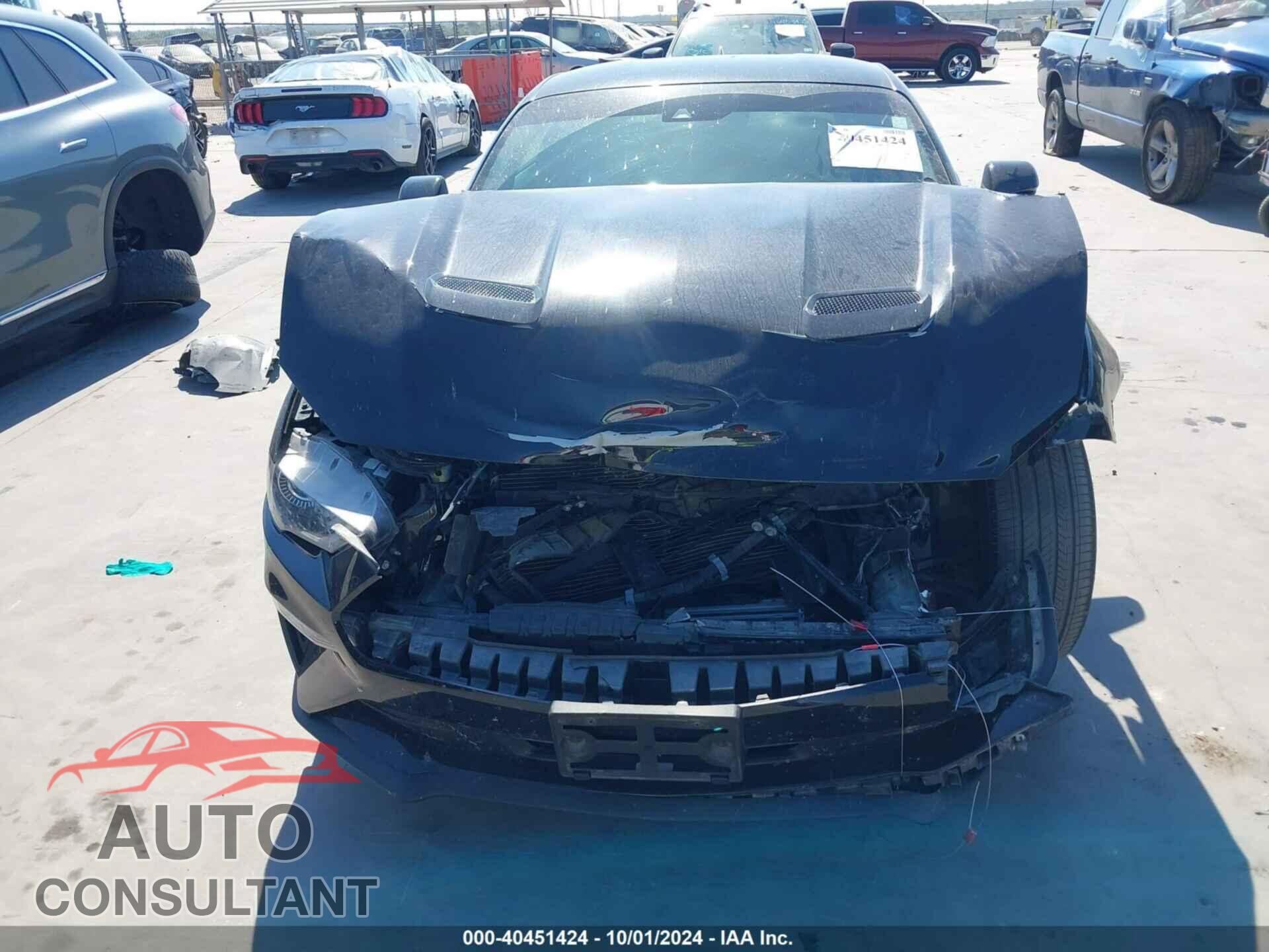 FORD MUSTANG 2021 - 1FA6P8TH3M5138779