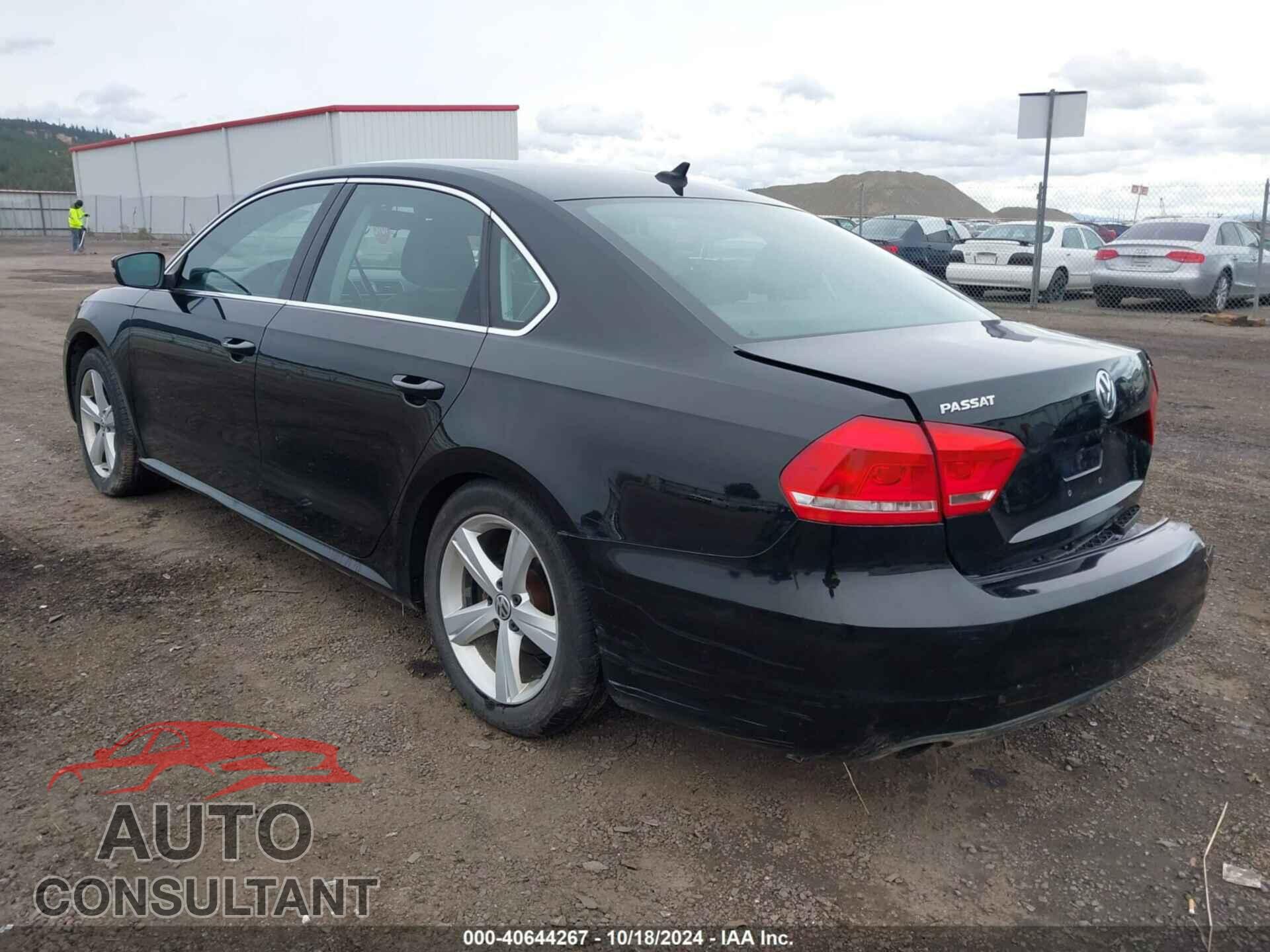 VOLKSWAGEN PASSAT 2013 - 1VWBP7A30DC066894