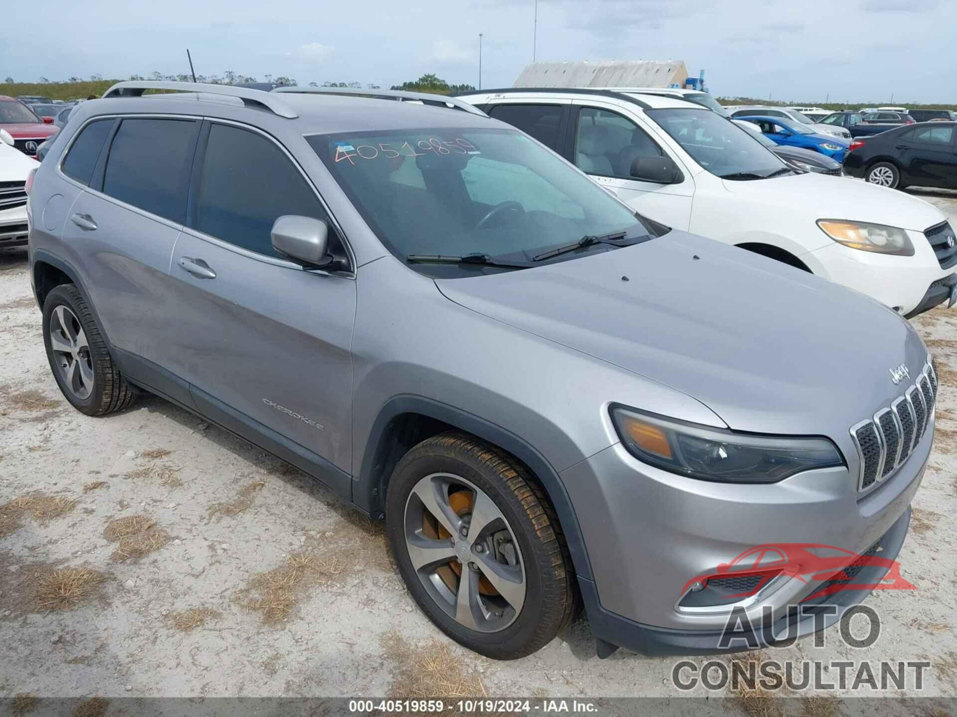 JEEP CHEROKEE 2019 - 1C4PJLDB9KD325847