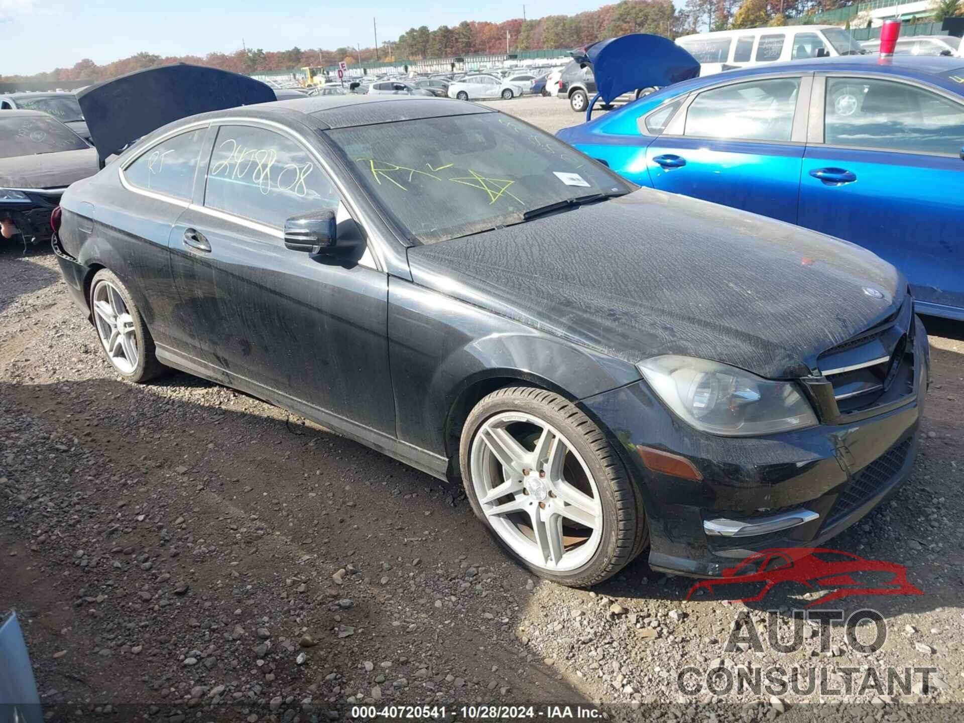 MERCEDES-BENZ C 250 2013 - WDDGJ4HB2DF975777