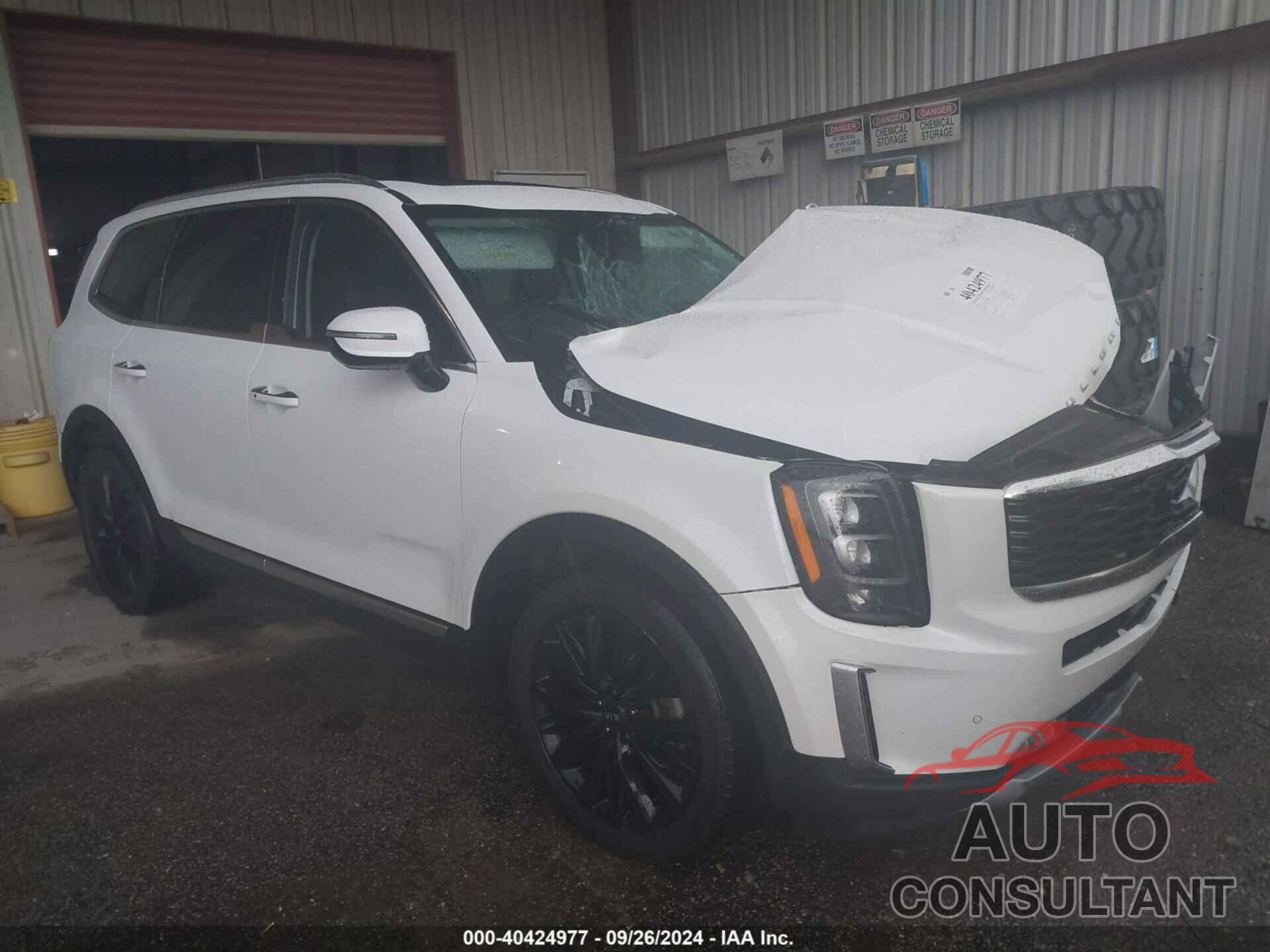 KIA TELLURIDE 2020 - 5XYP5DHC3LG053991