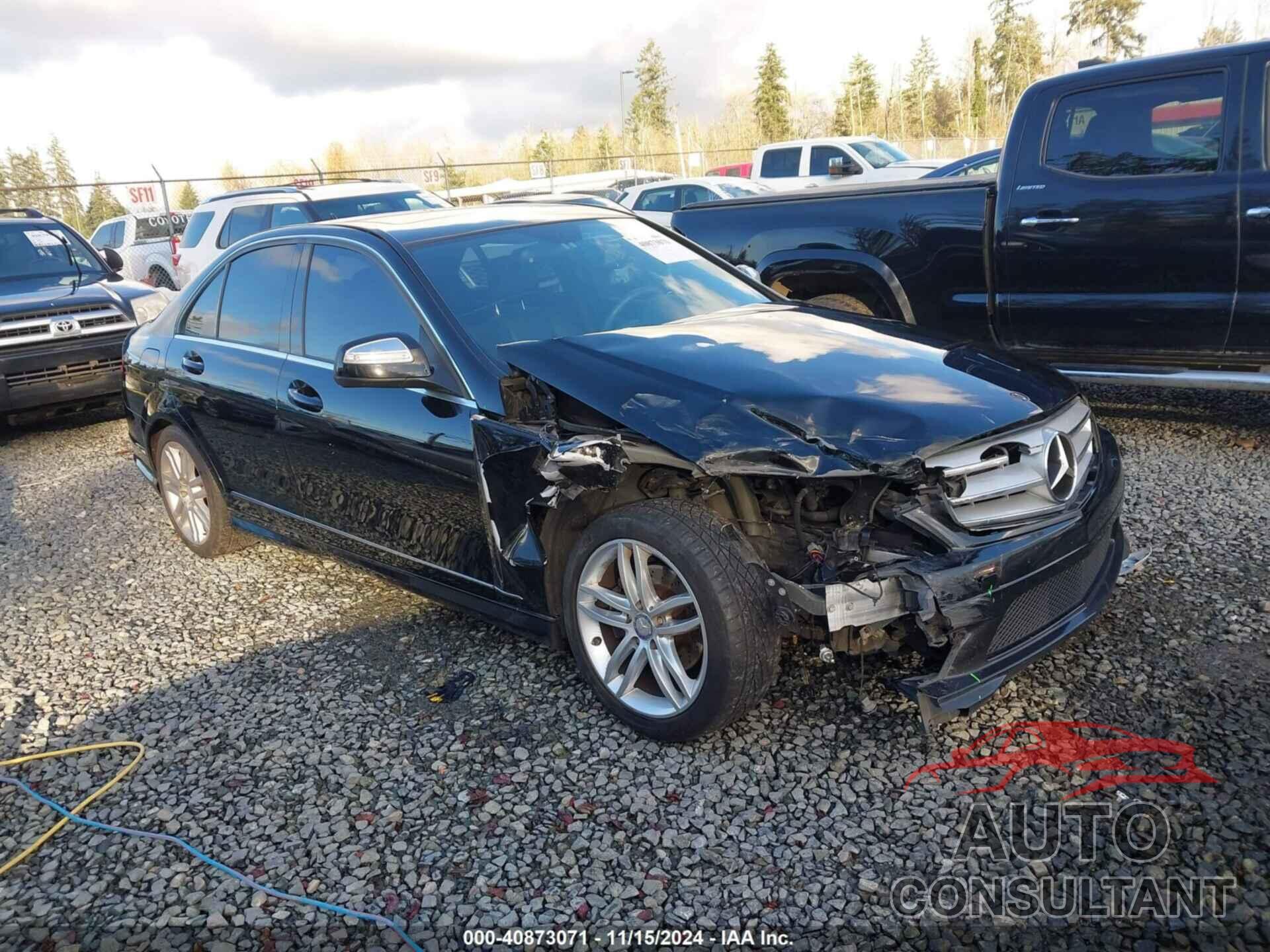 MERCEDES-BENZ C 300 2009 - WDDGF81X99F267550