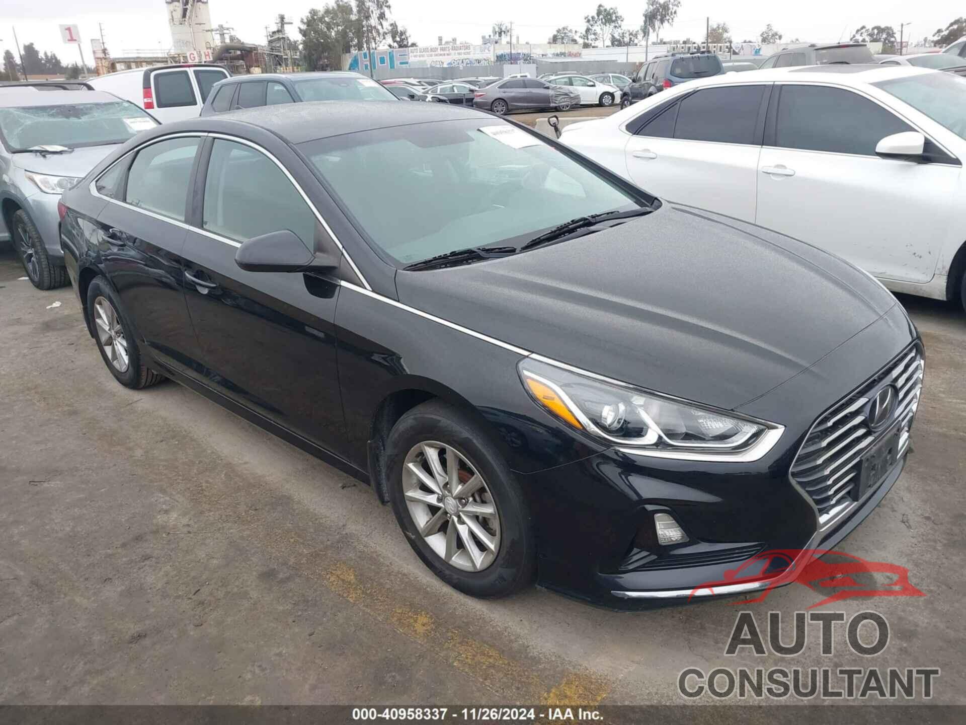 HYUNDAI SONATA 2019 - 5NPE24AF4KH807105