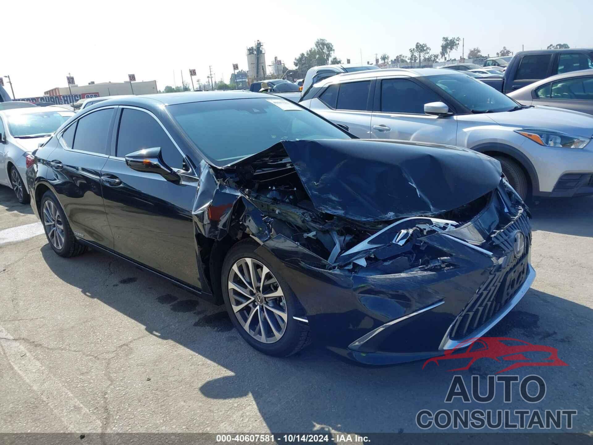 LEXUS ES 300H 2022 - 58ACA1C14NU017523