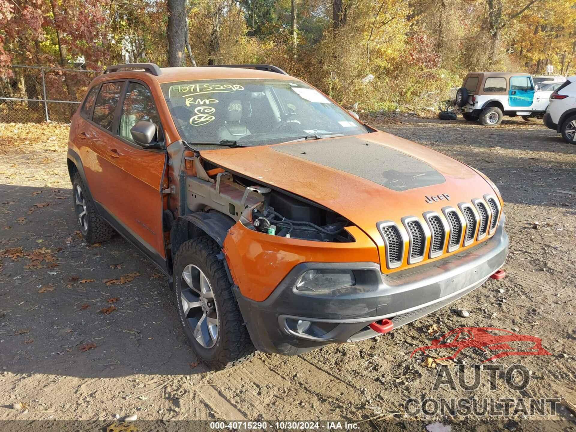 JEEP CHEROKEE 2014 - 1C4PJMBS3EW254744