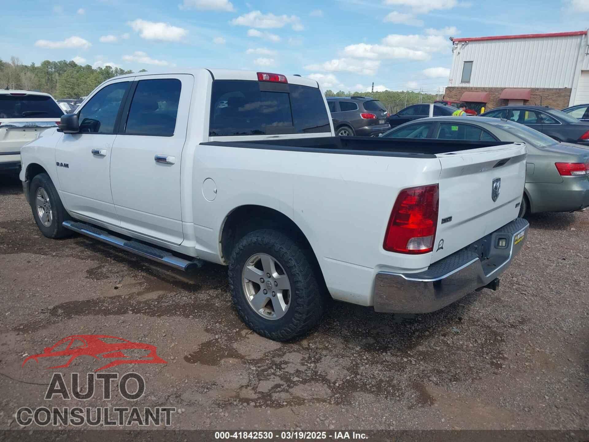 DODGE RAM 1500 2010 - 1D7RB1CP7AS155995