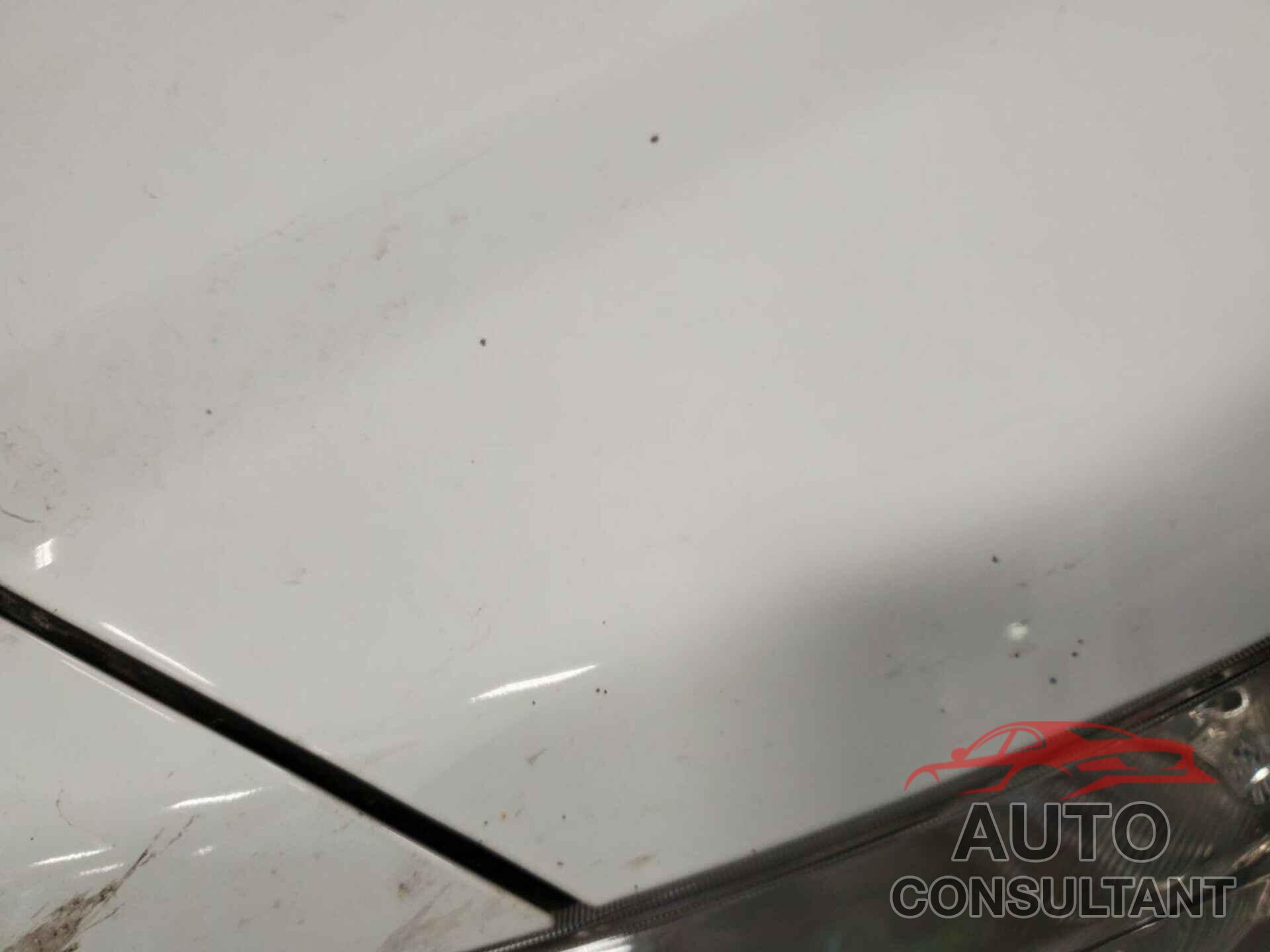 FORD TRANSIT CONNECT 2019 - NM0LS7E24K1386037