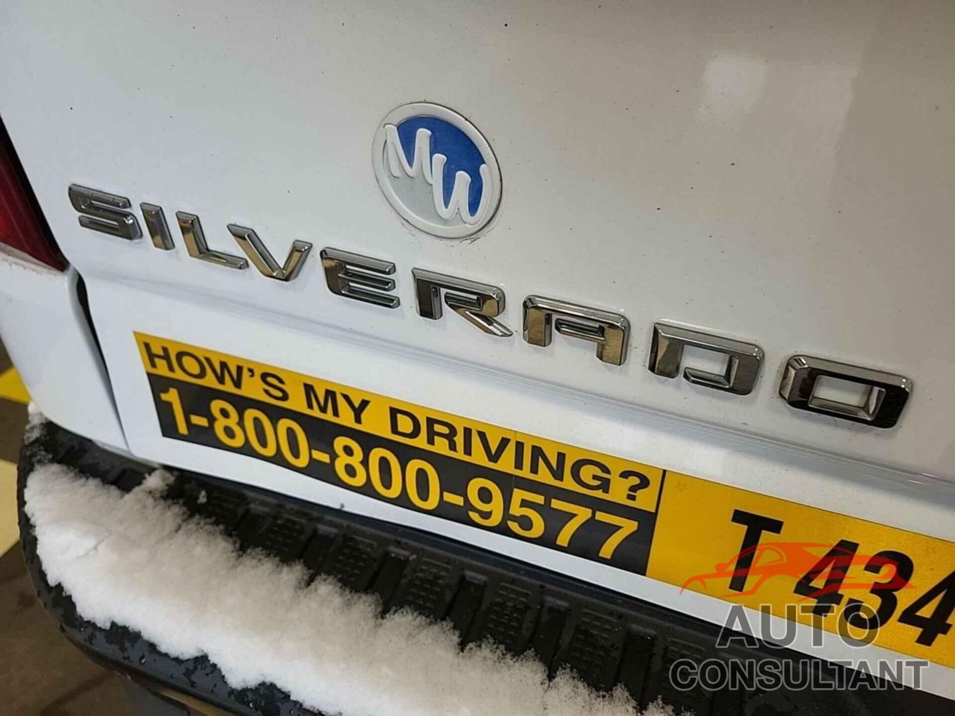 CHEVROLET SILVERADO 1500 2019 - 3GCNWAEH6KG169351