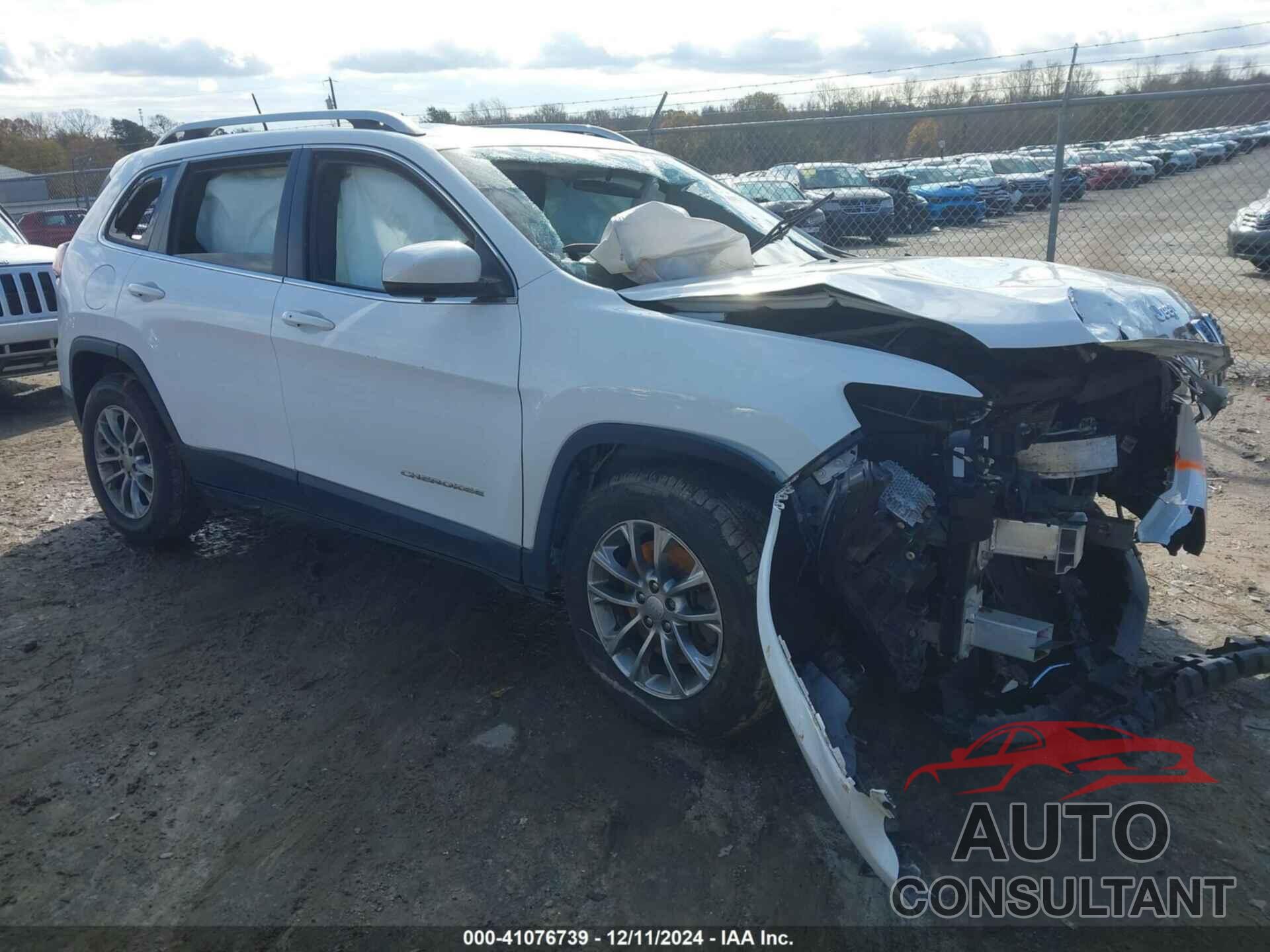 JEEP CHEROKEE 2019 - 1C4PJLLB0KD377188