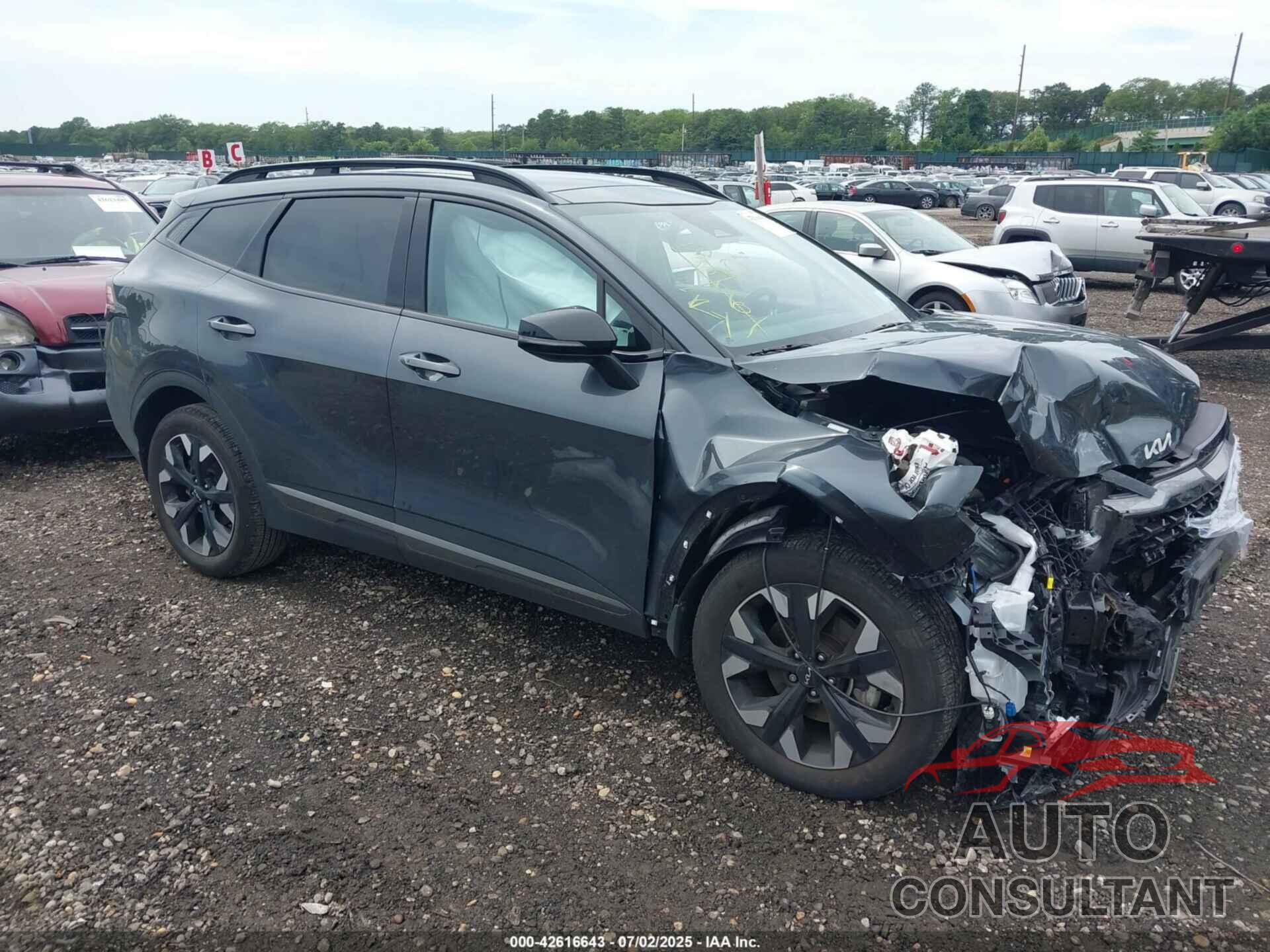 KIA SPORTAGE 2024 - 5XYK6CDF6RG156865