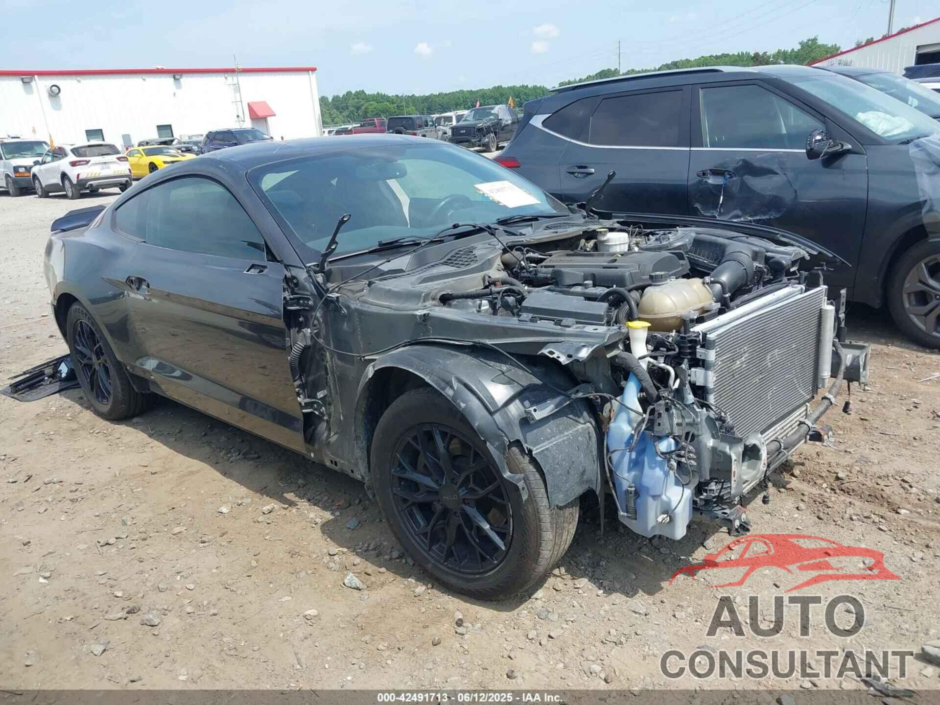 FORD MUSTANG 2019 - 1FA6P8TH0K5199276