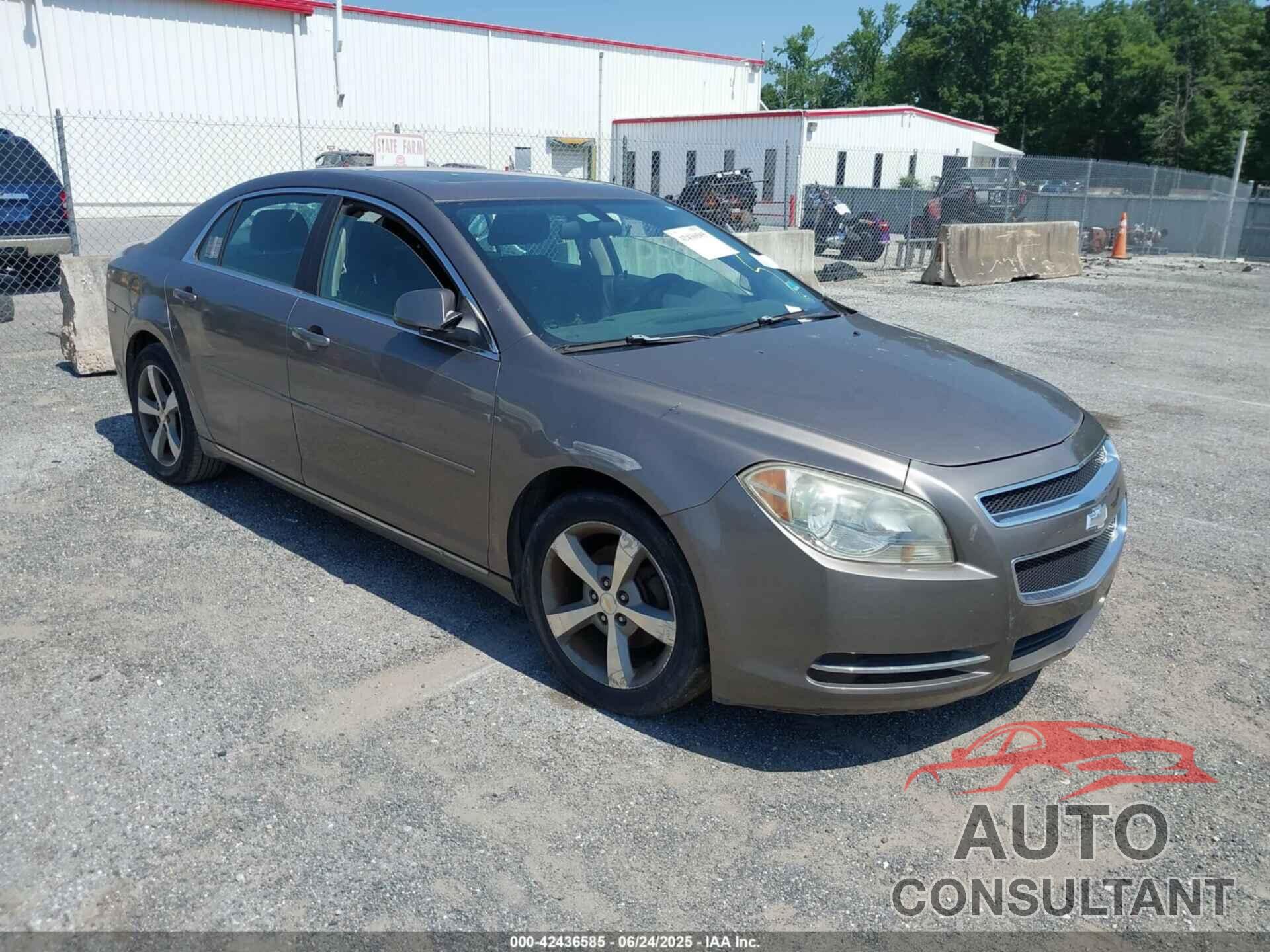 CHEVROLET MALIBU 2011 - 1G1ZC5EU6BF295105