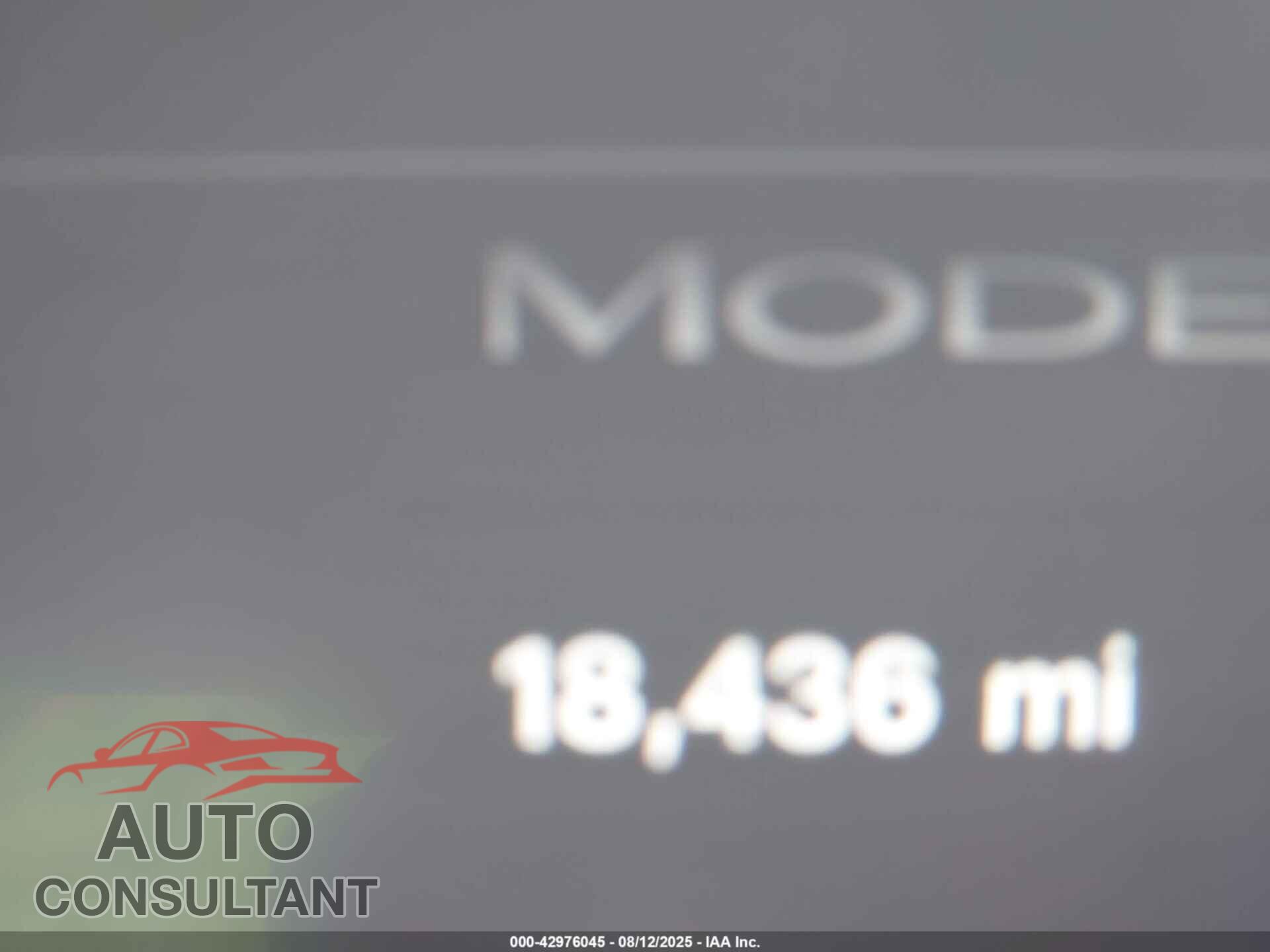 TESLA MODEL Y 2024 - 7SAYGDED5RF035281