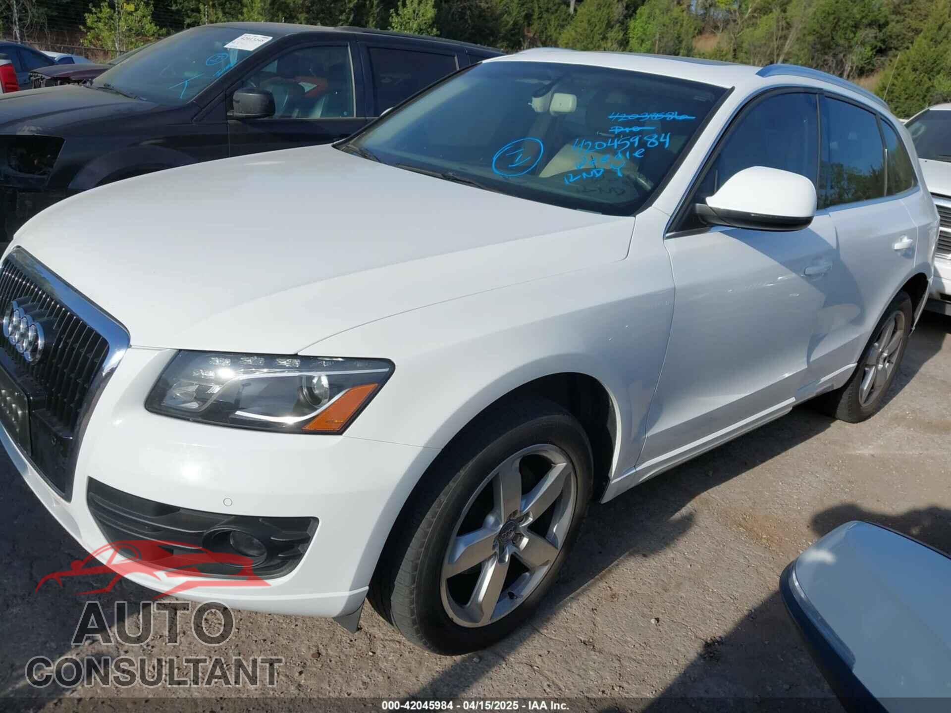 AUDI Q5 2010 - WA1VKAFP7AA096869