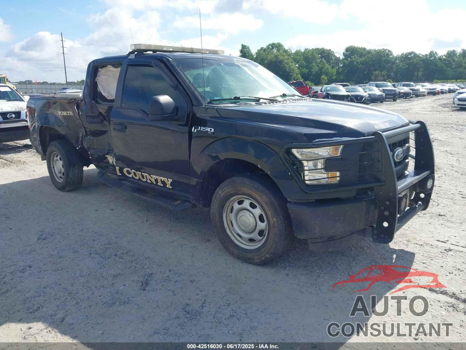 FORD F-150 2015 - 1FTEW1EF6FKE89699