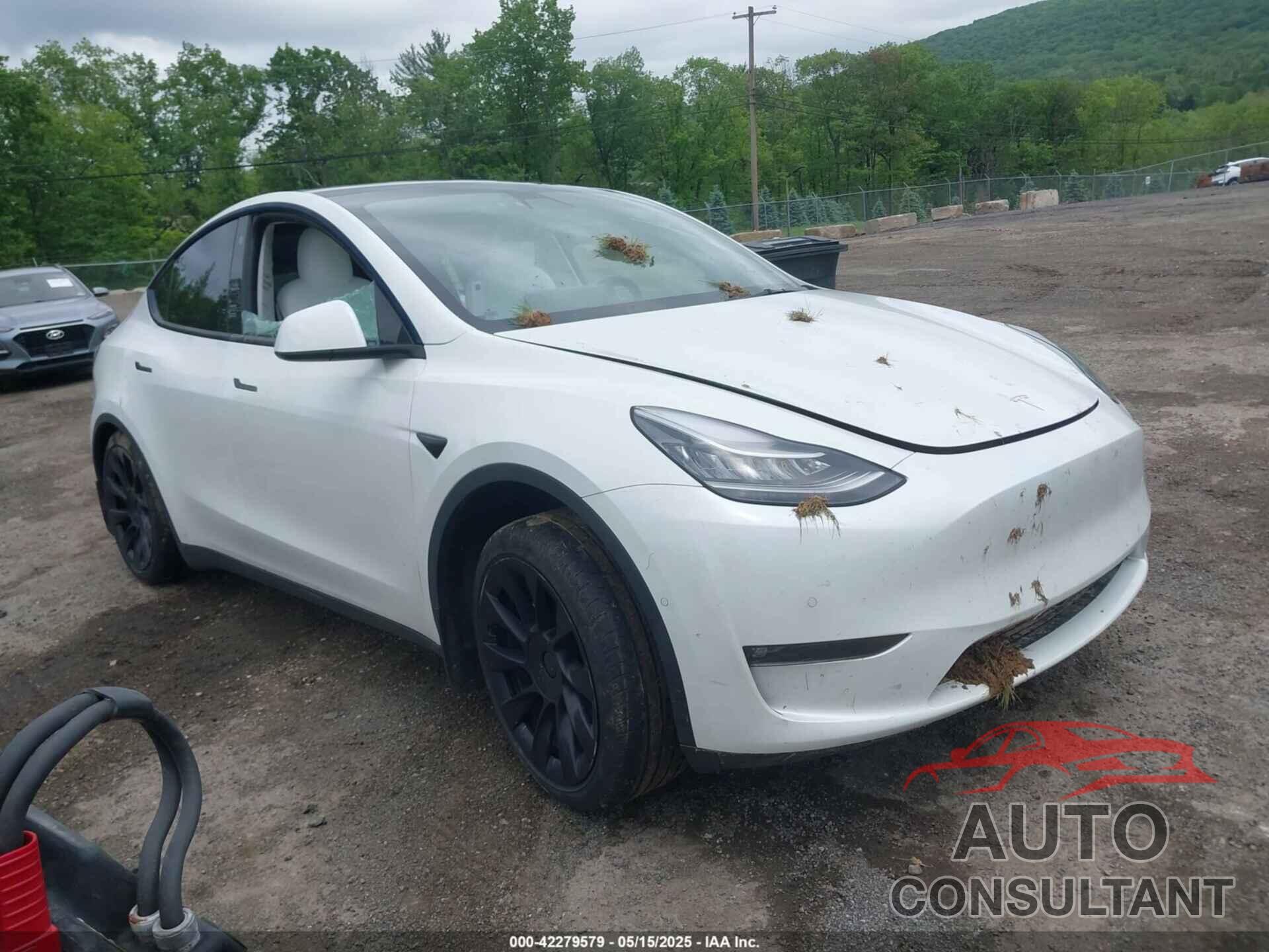 TESLA MODEL Y 2021 - 5YJYGDEE8MF151699