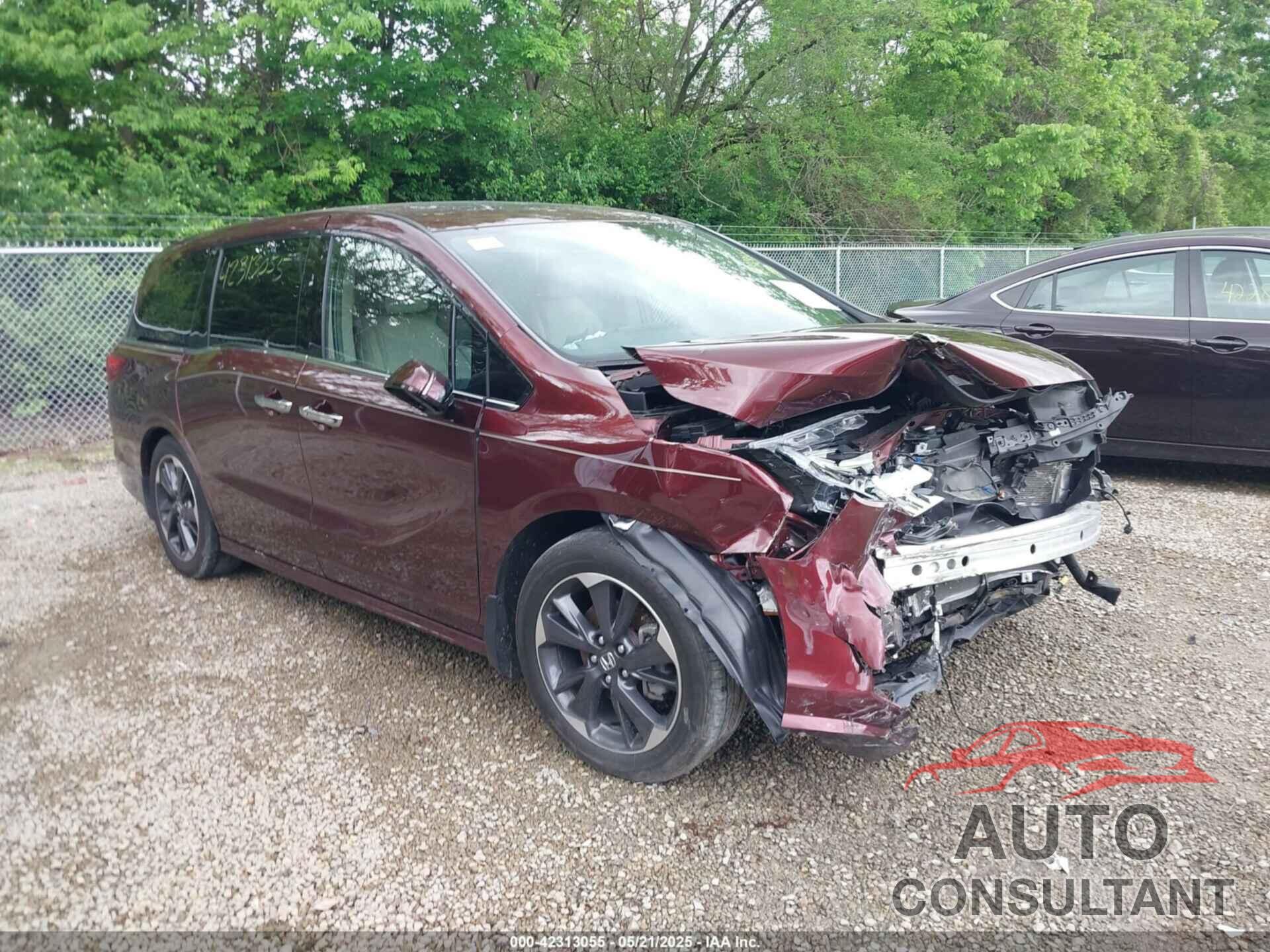 HONDA ODYSSEY 2021 - 5FNRL6H52MB003703