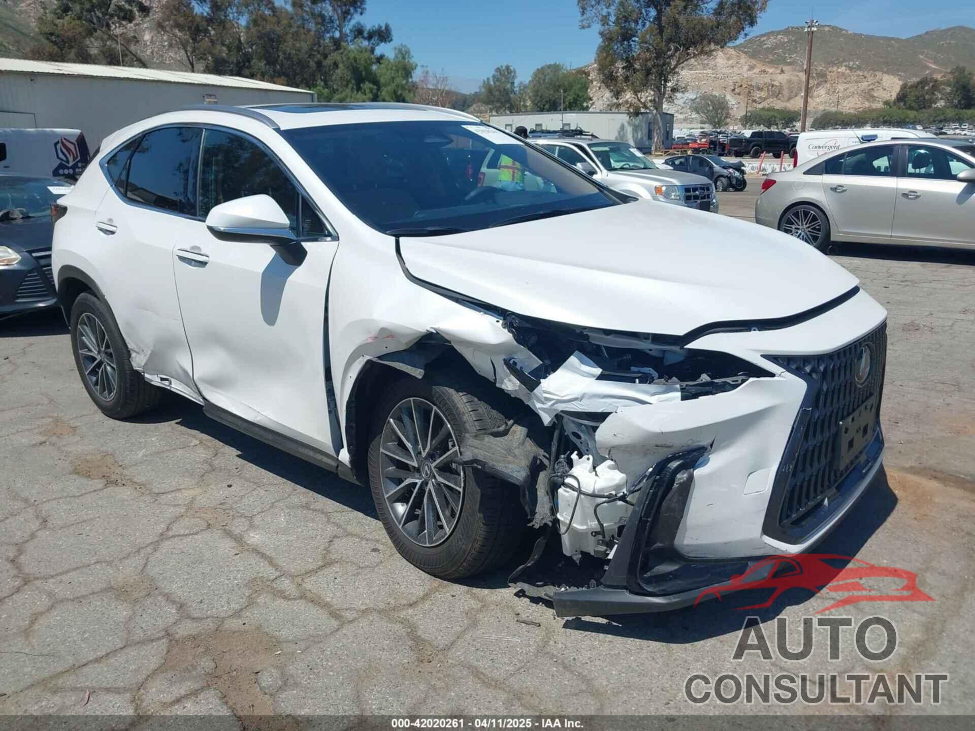 LEXUS NX 250 2025 - JTJGDCAZ6S5024713