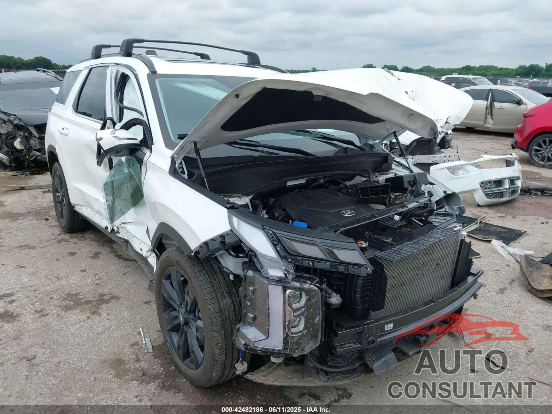 HYUNDAI PALISADE 2025 - KM8R34GE5SU901847