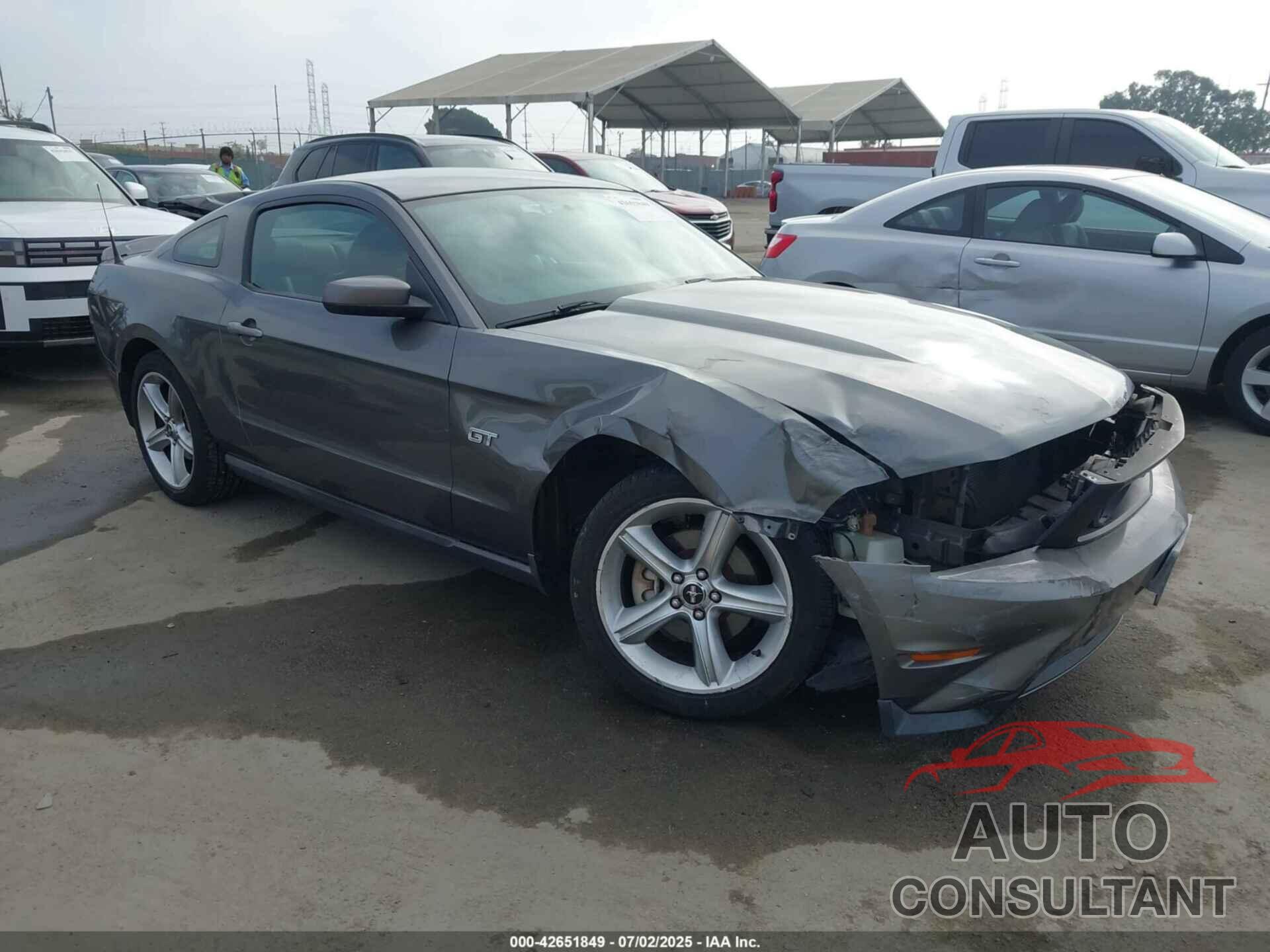 FORD MUSTANG 2010 - 1ZVBP8CH0A5116918