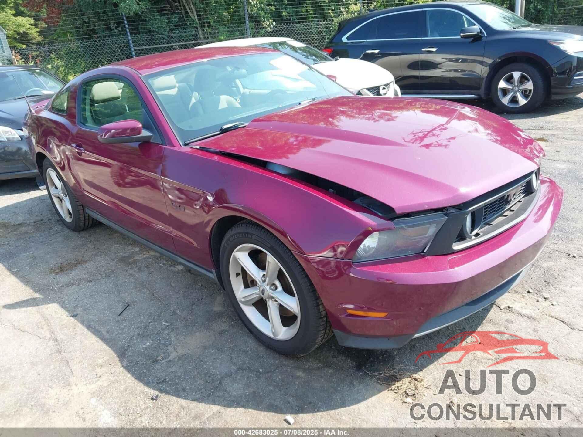 FORD MUSTANG 2011 - 1ZVBP8CF8B5116391