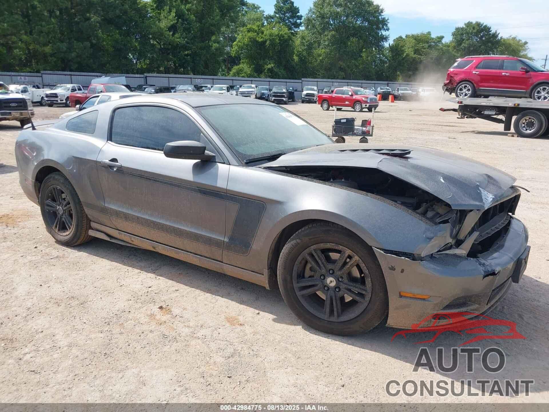 FORD MUSTANG 2014 - 1ZVBP8AM9E5309493