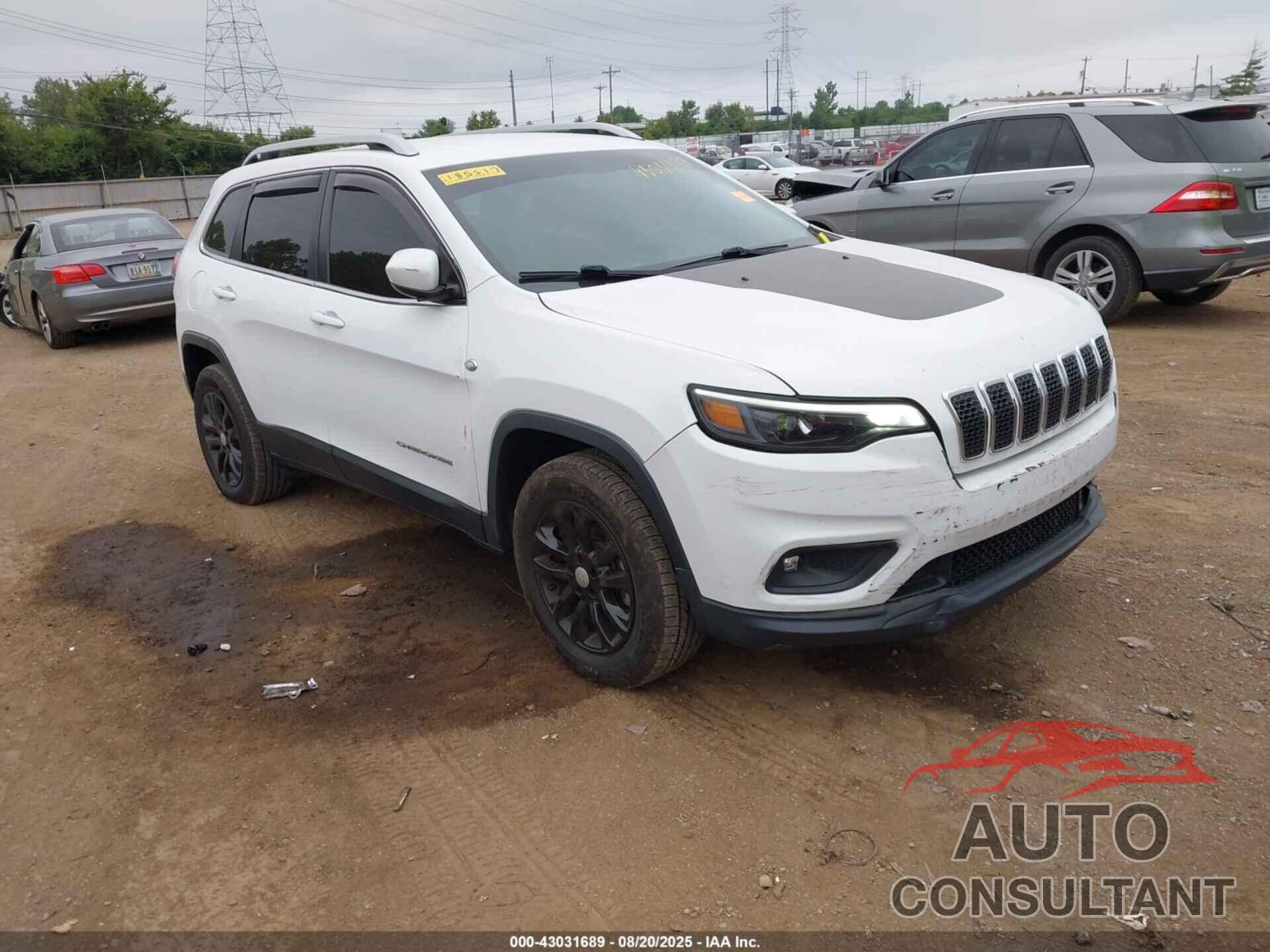 JEEP CHEROKEE 2019 - 1C4PJMCX6KD185517