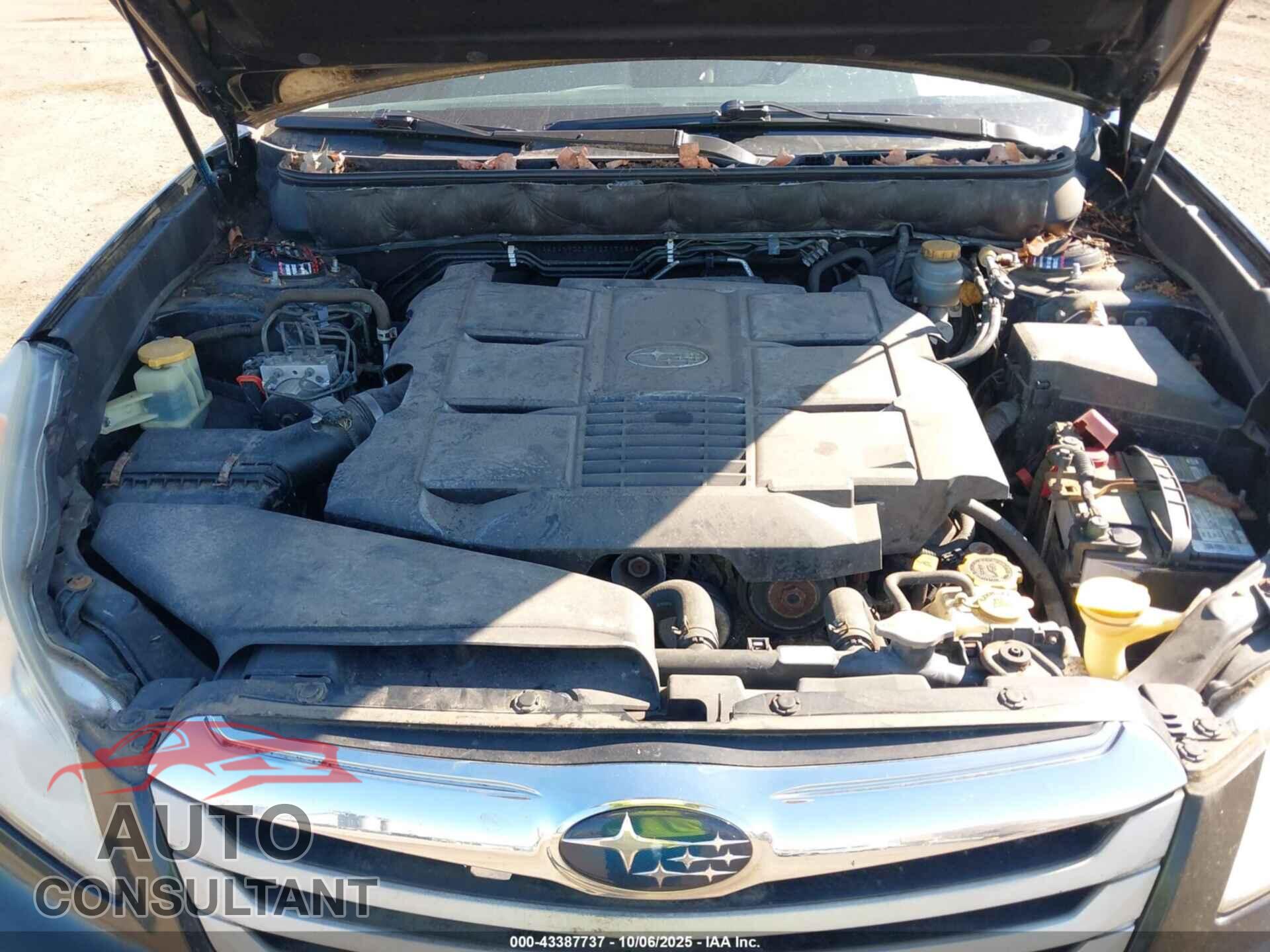 SUBARU OUTBACK 2010 - 4S4BRDCC7A2317058