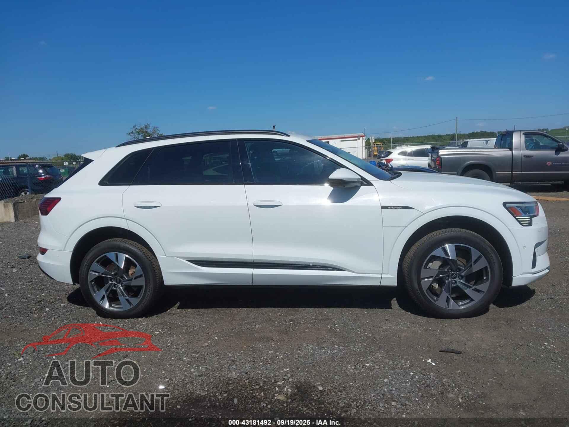 AUDI E-TRON 2022 - WA1AAAGE0NB042425