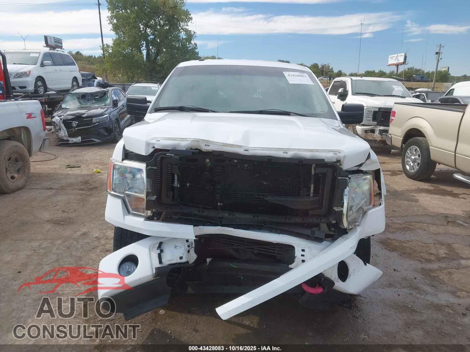 FORD F-150 2013 - 1FTFX1EF9DFA52657
