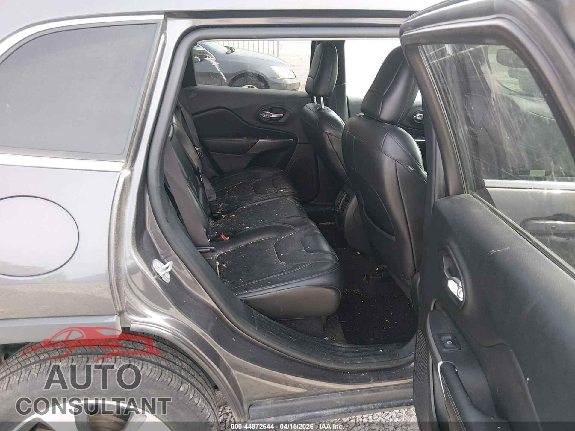 JEEP CHEROKEE 2019 - 1C4PJMDX3KD166258