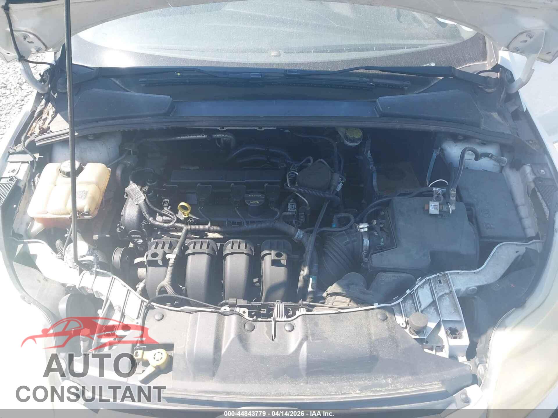 FORD FOCUS 2012 - 1FAHP3K20CL407744
