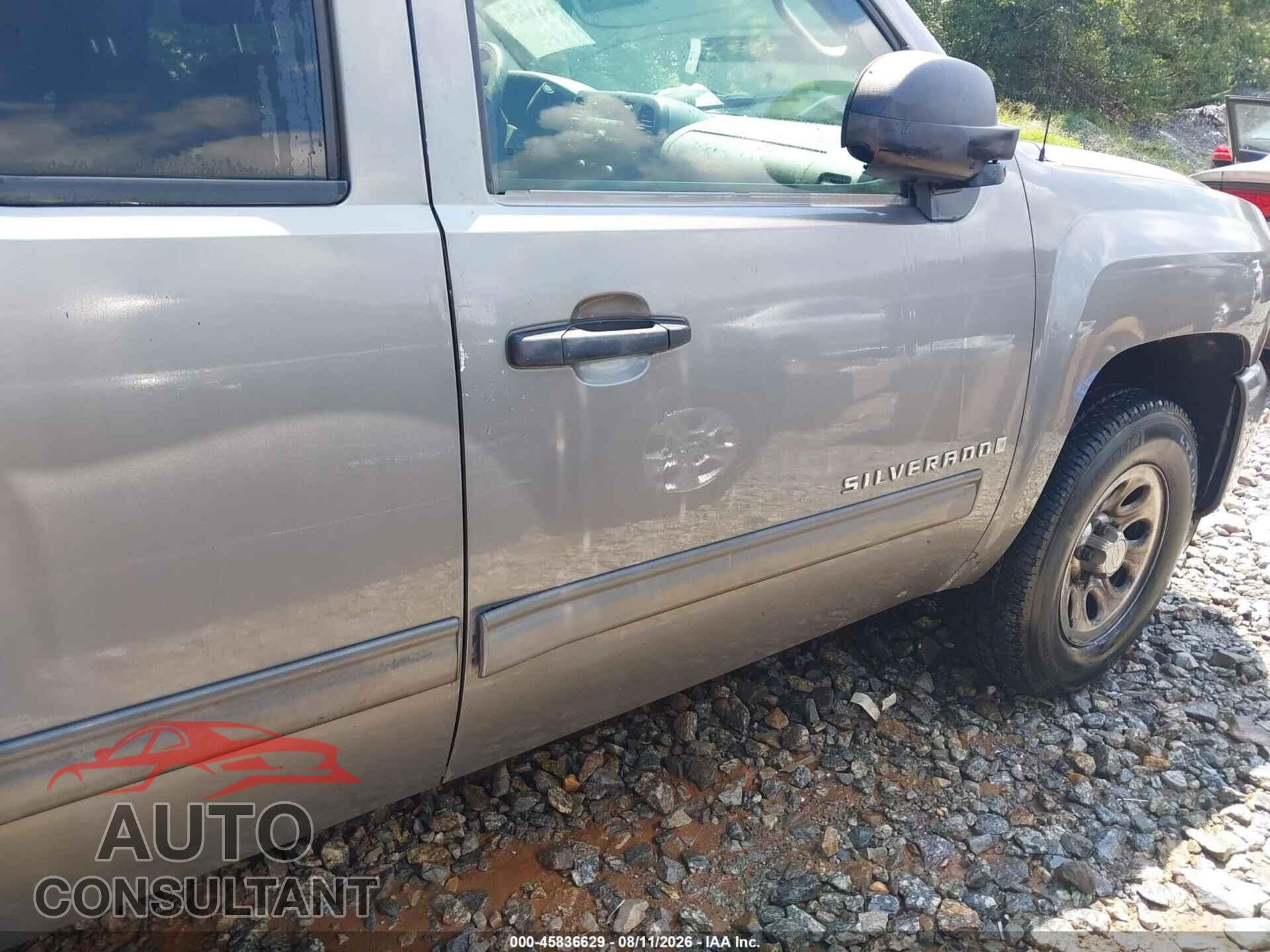 CHEVROLET SILVERADO 1500 2009 - 1GCEC19C09Z196143