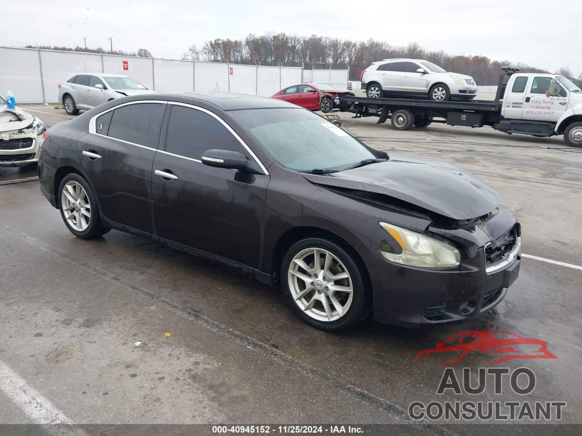 NISSAN MAXIMA 2011 - 1N4AA5AP0BC841446