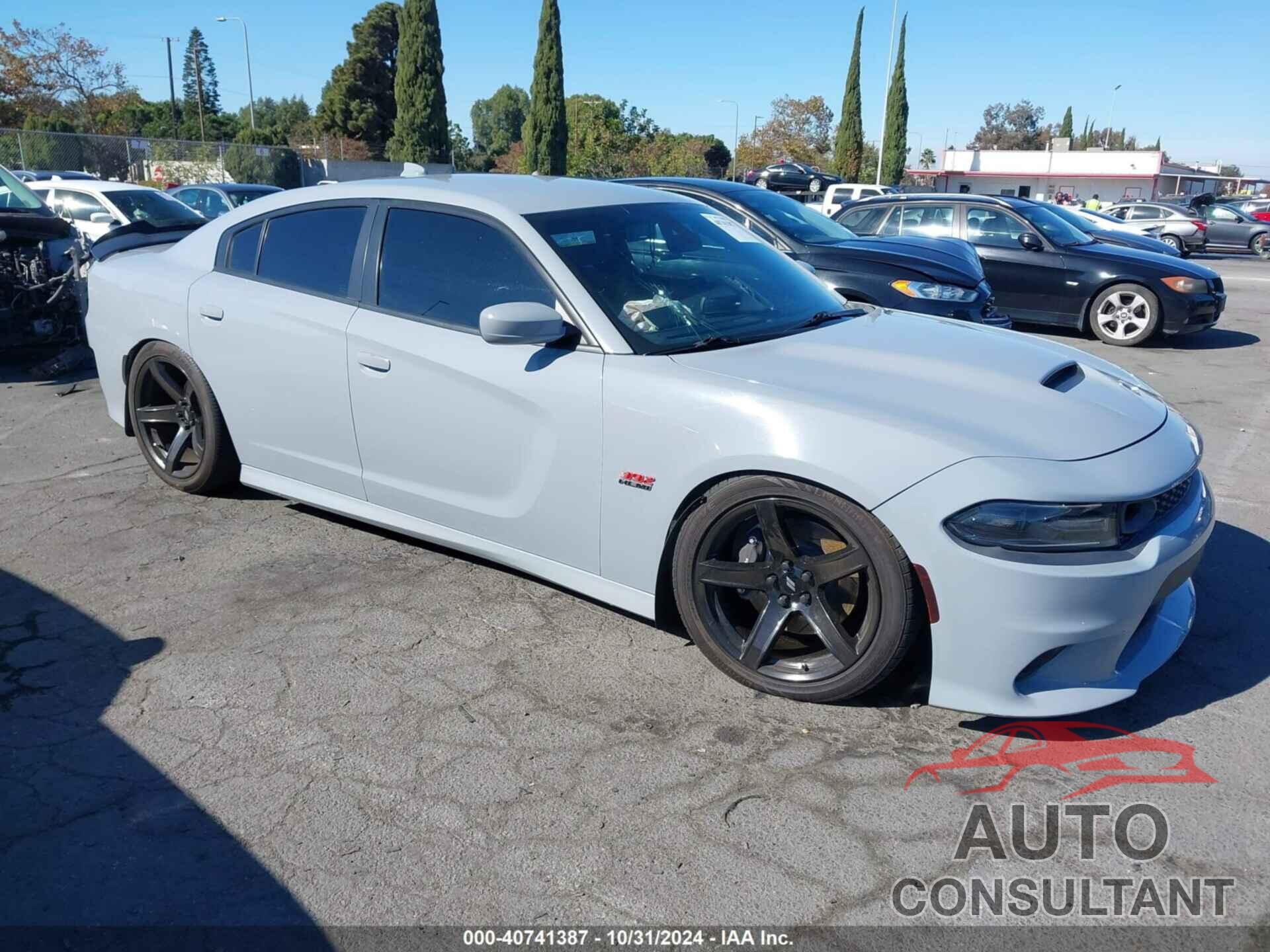 DODGE CHARGER 2020 - 2C3CDXGJ5LH241114