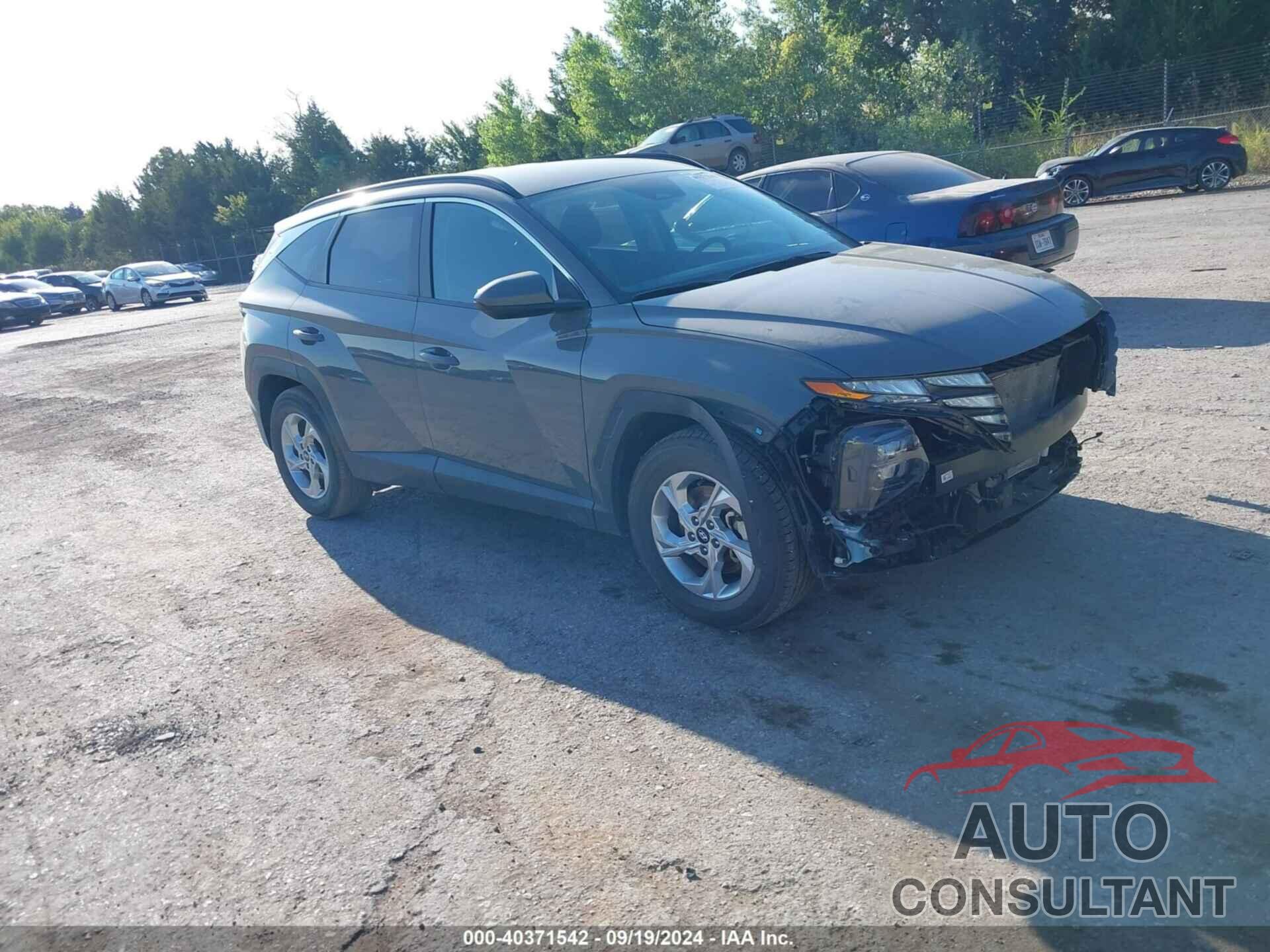 HYUNDAI TUCSON 2024 - 5NMJB3DE6RH316313