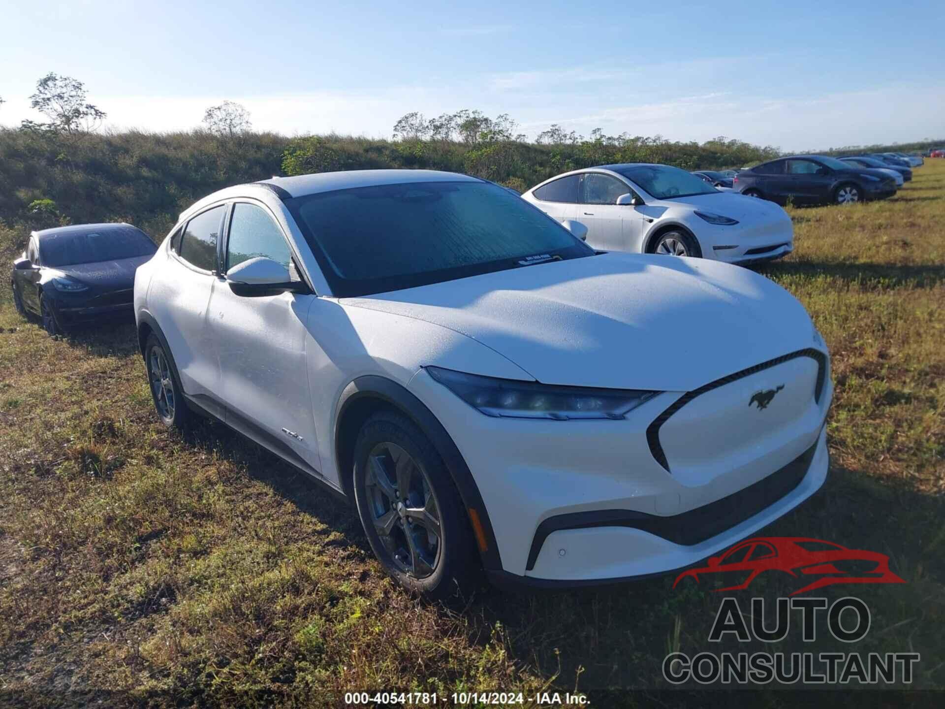 FORD MUSTANG MACH-E 2022 - 3FMTK1RM9NMA39592
