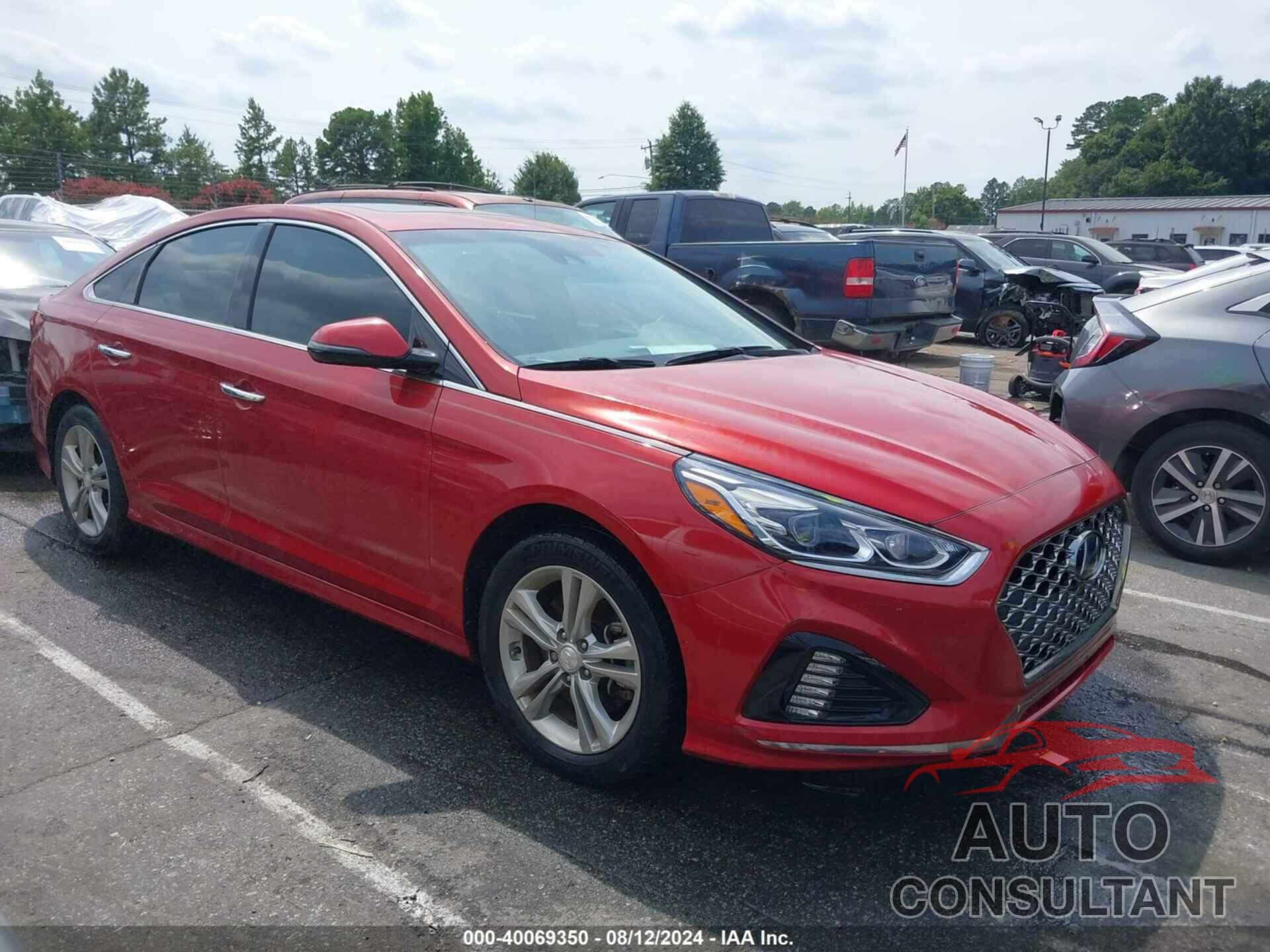 HYUNDAI SONATA 2019 - 5NPE34AF1KH771421