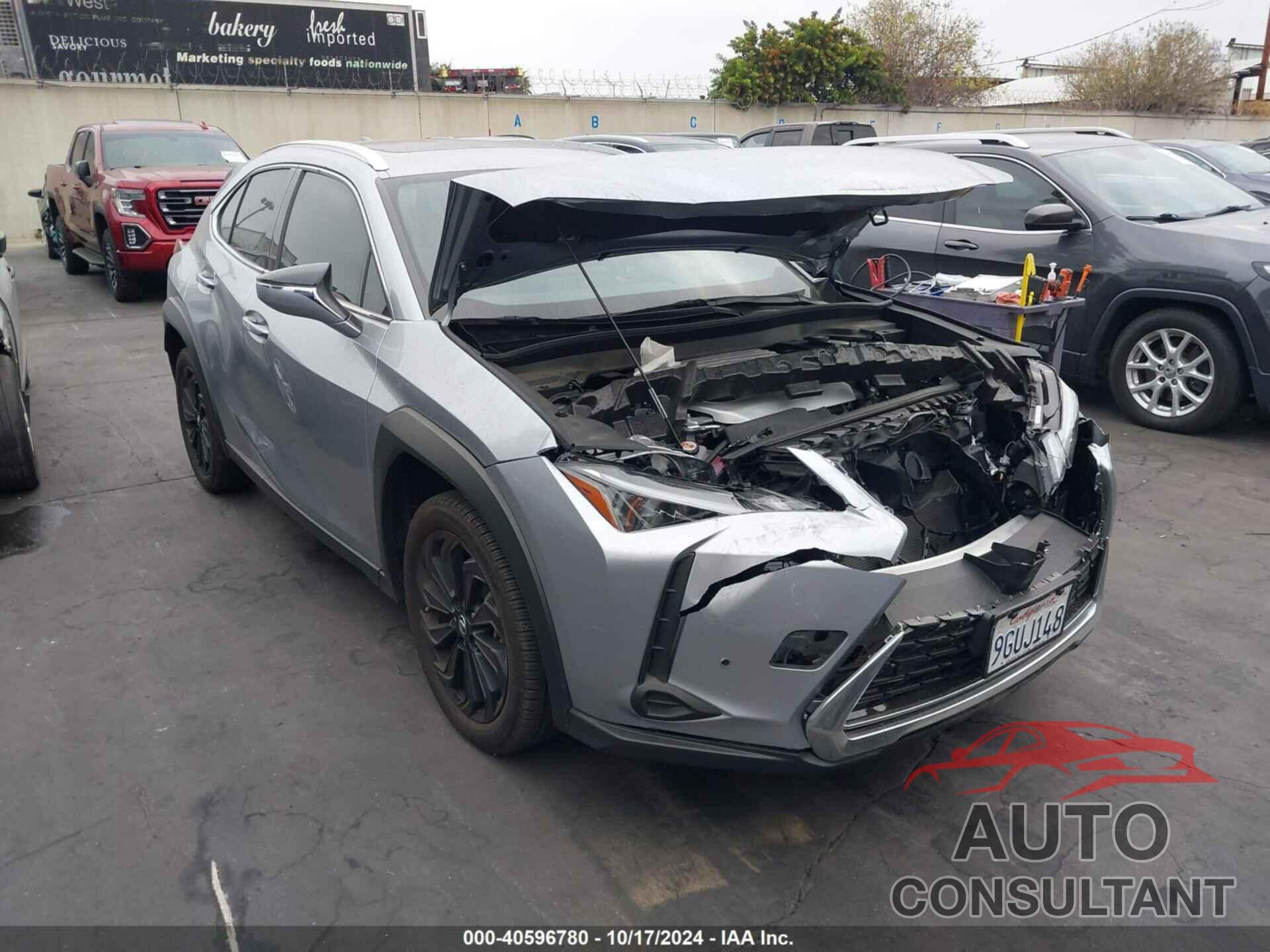 LEXUS UX 250H 2024 - JTHX6JBH8R2165851