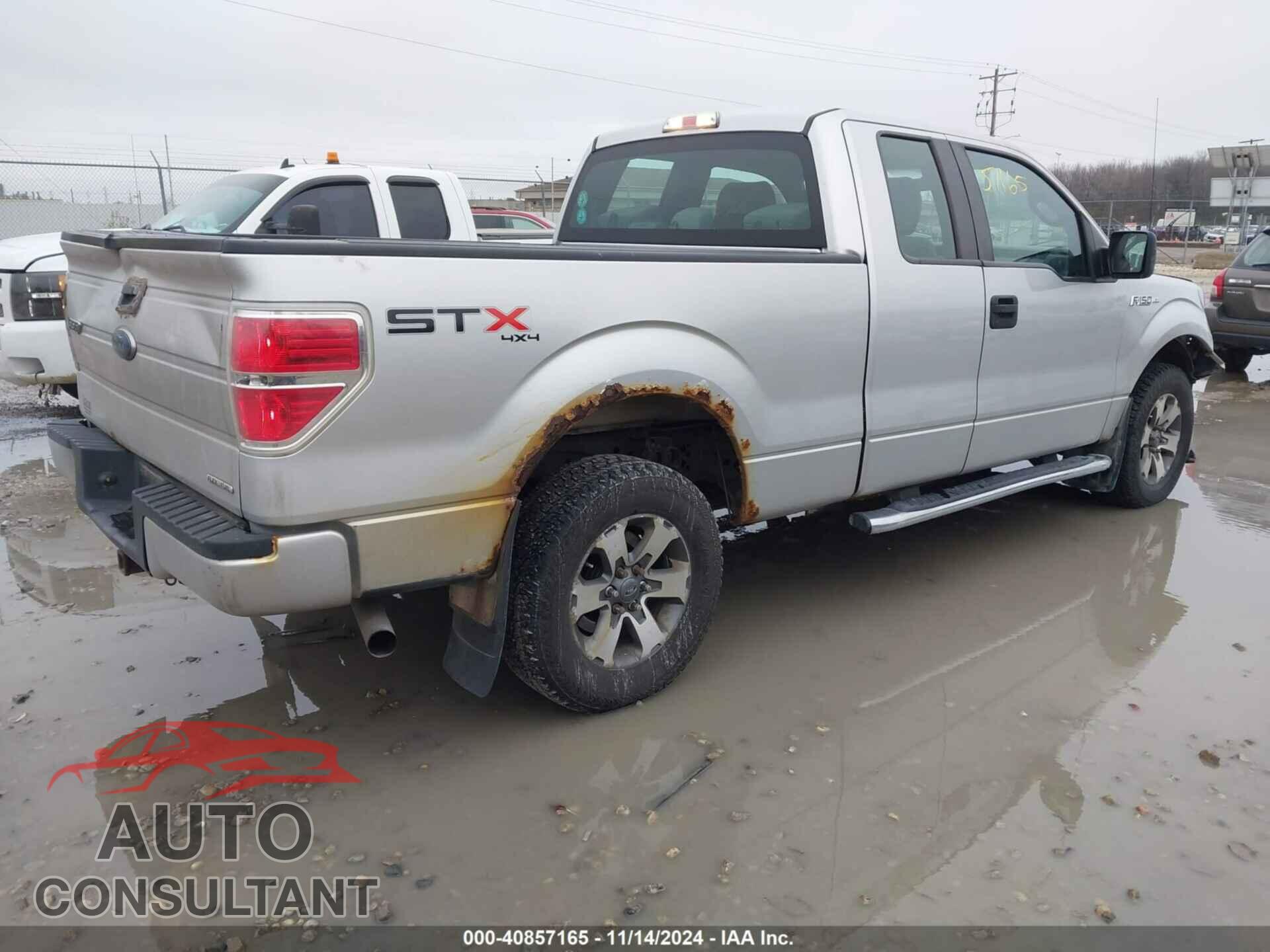 FORD F-150 2013 - 1FTFX1EF7DFD33954