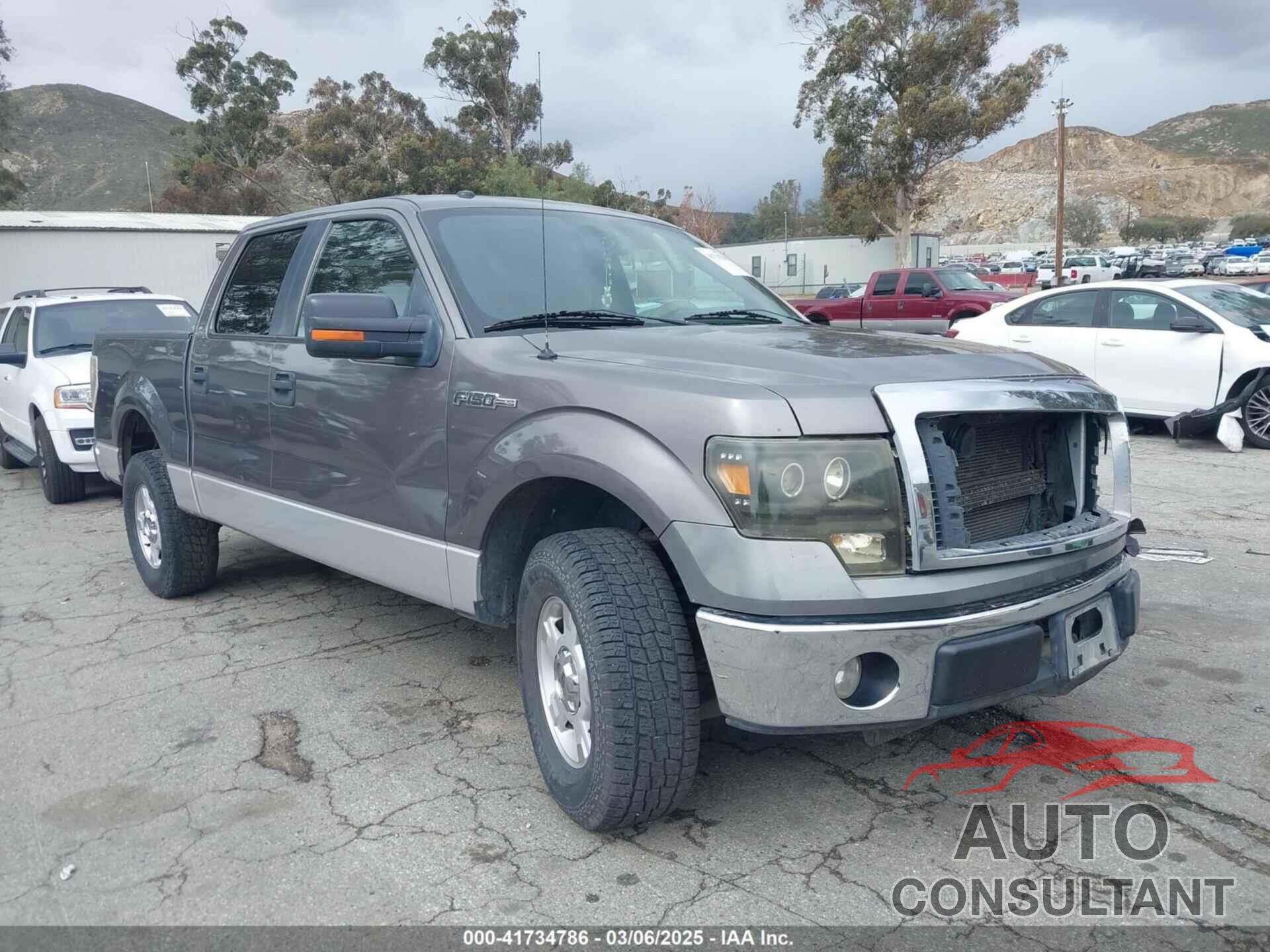FORD F-150 2010 - 1FTEW1C87AKB05460
