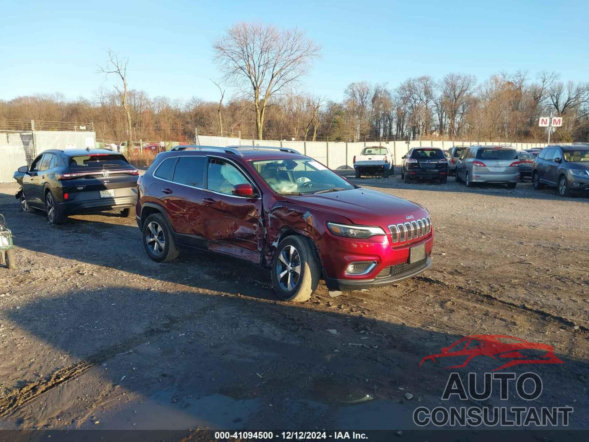 JEEP CHEROKEE 2019 - 1C4PJMDN3KD295048