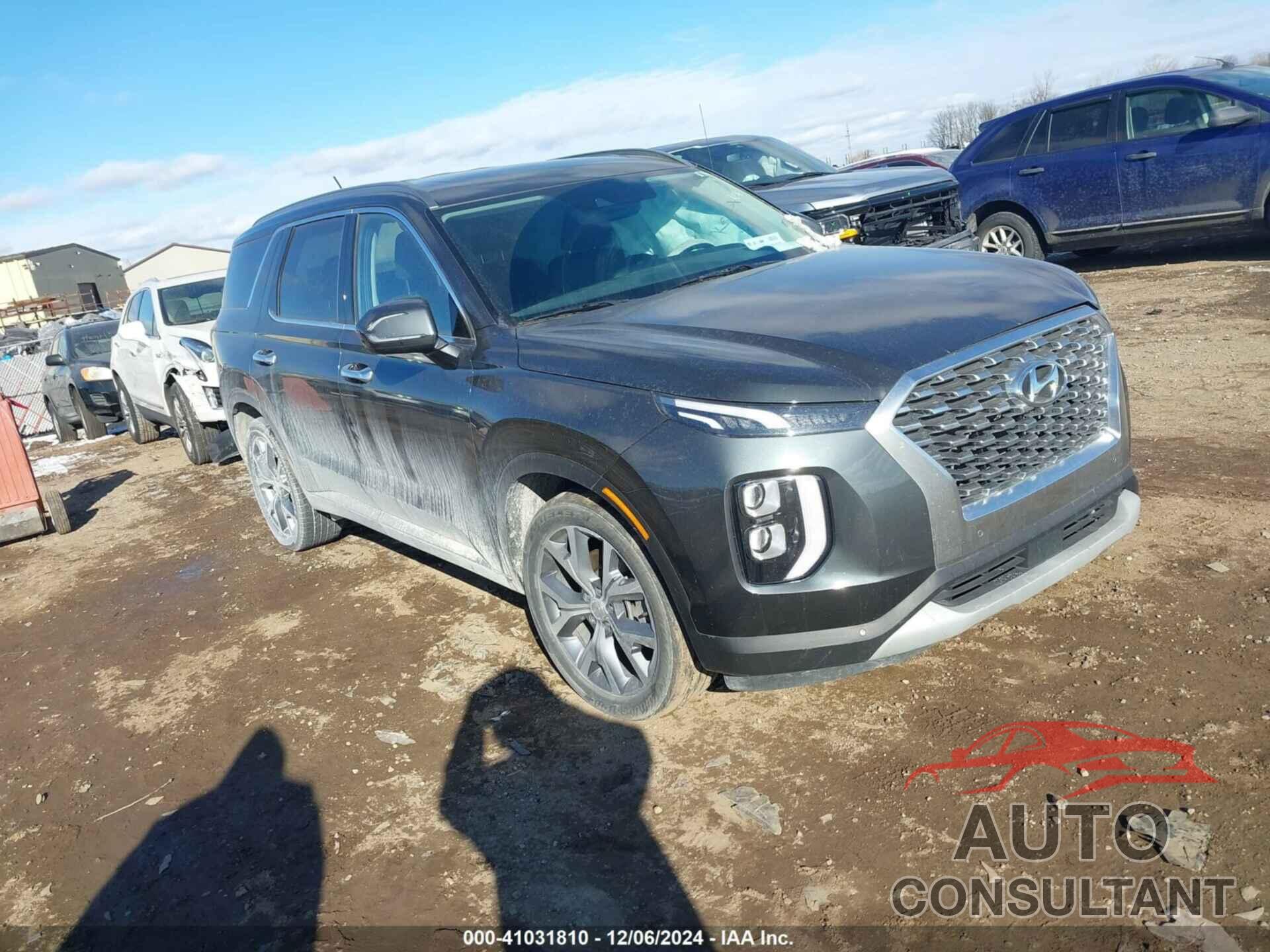 HYUNDAI PALISADE 2020 - KM8R3DHE9LU061104
