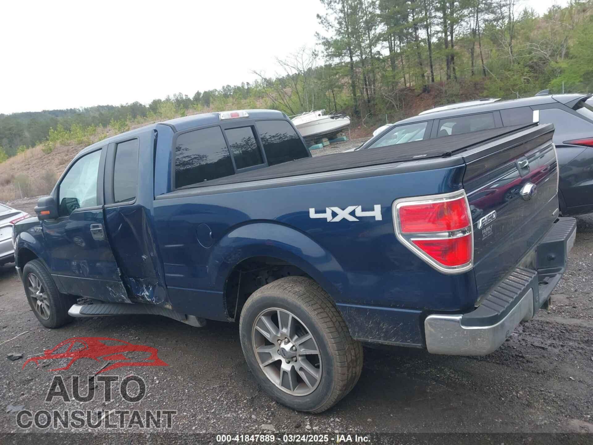 FORD F-150 2013 - 1FTFX1EF5DFD80299