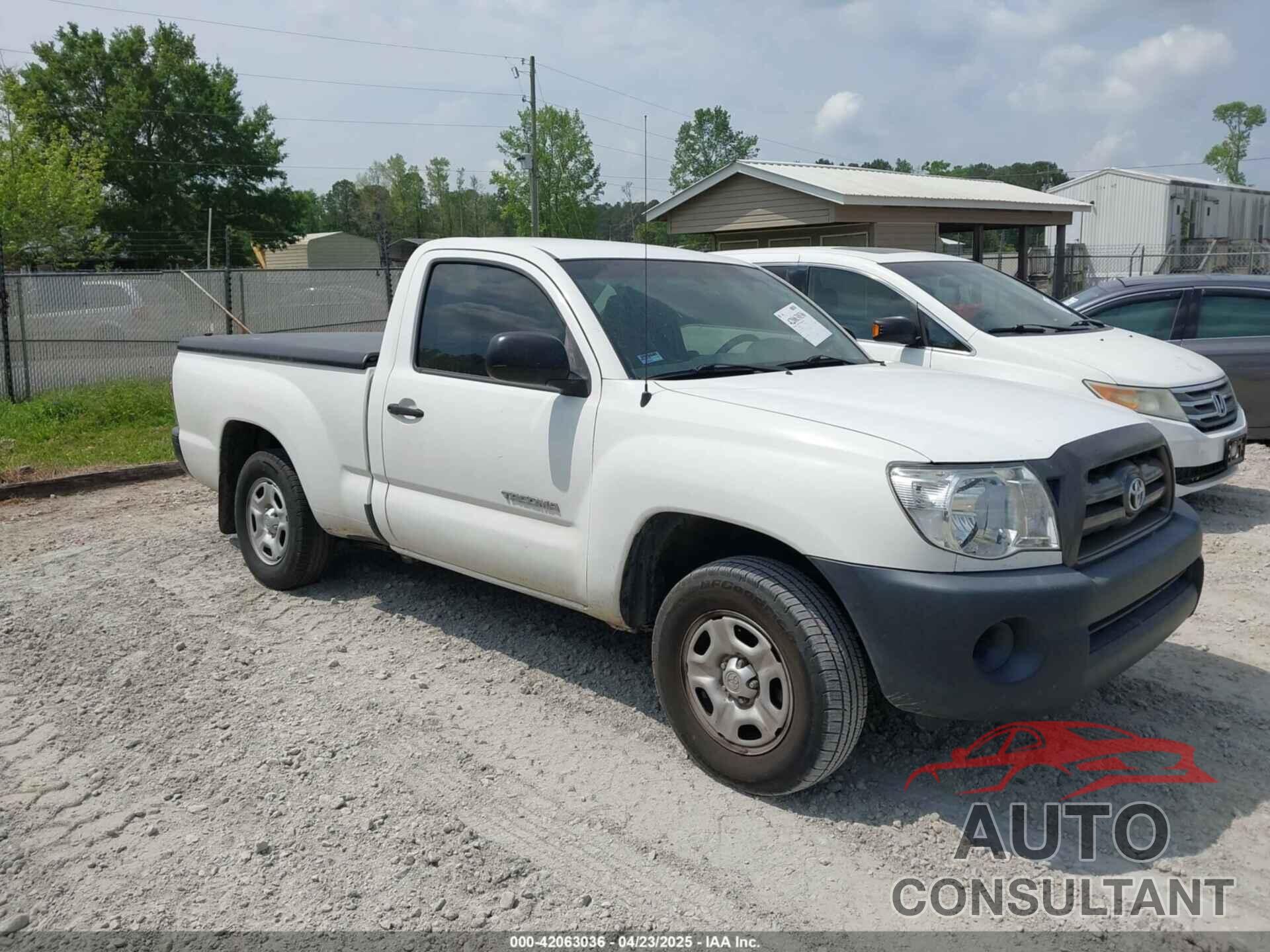 TOYOTA TACOMA 2009 - 5TENX22N19Z646196