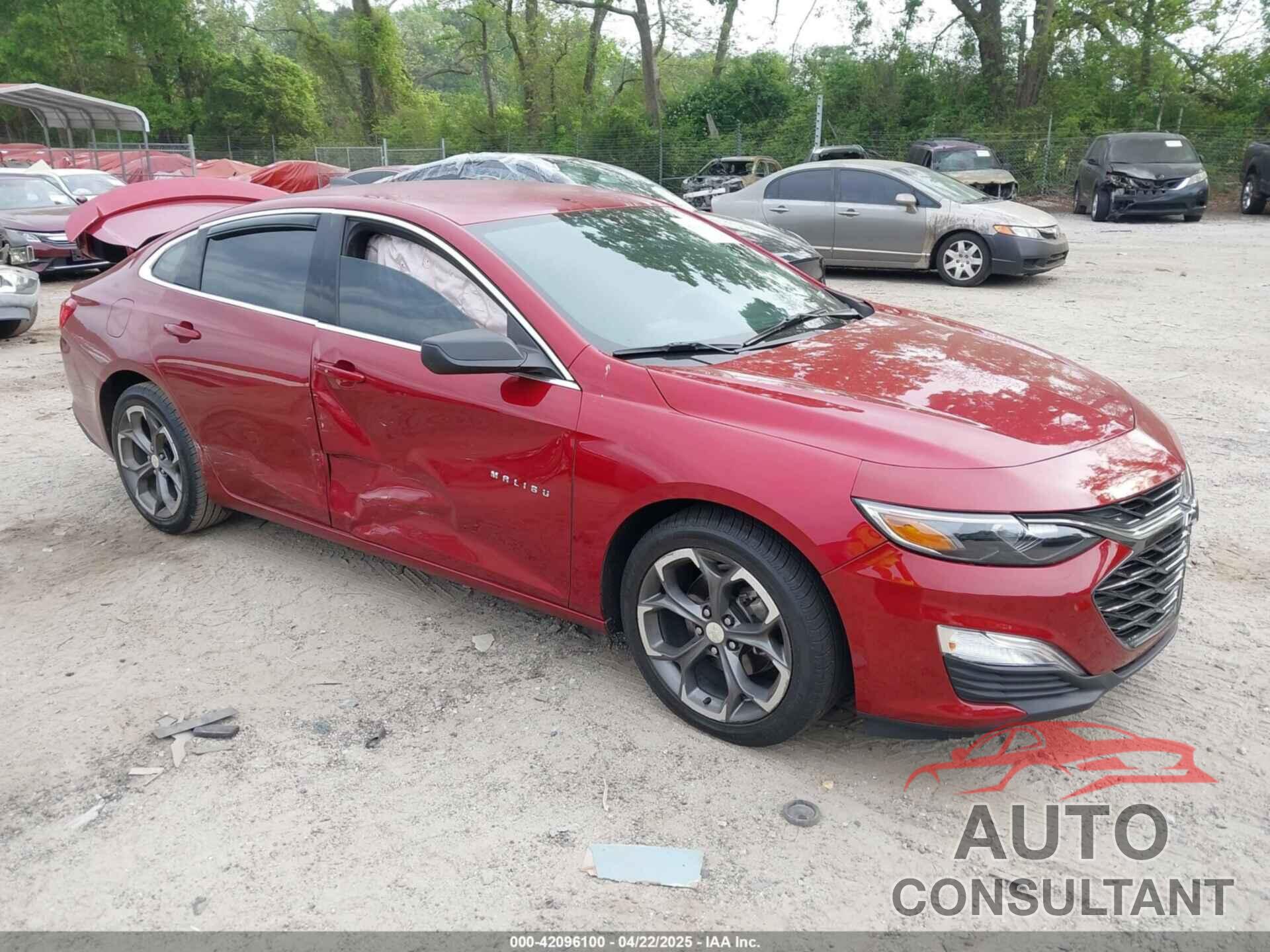 CHEVROLET MALIBU 2019 - 1G1ZG5ST5KF214210