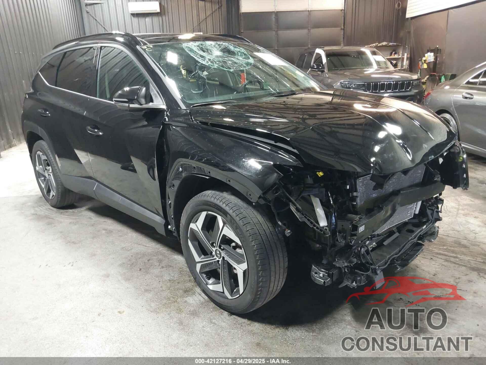 HYUNDAI TUCSON 2024 - 5NMJECDE5RH303687