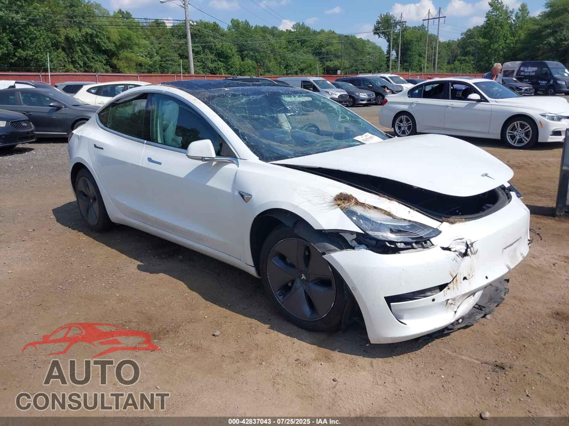 TESLA MODEL 3 2019 - 5YJ3E1EA5KF483835