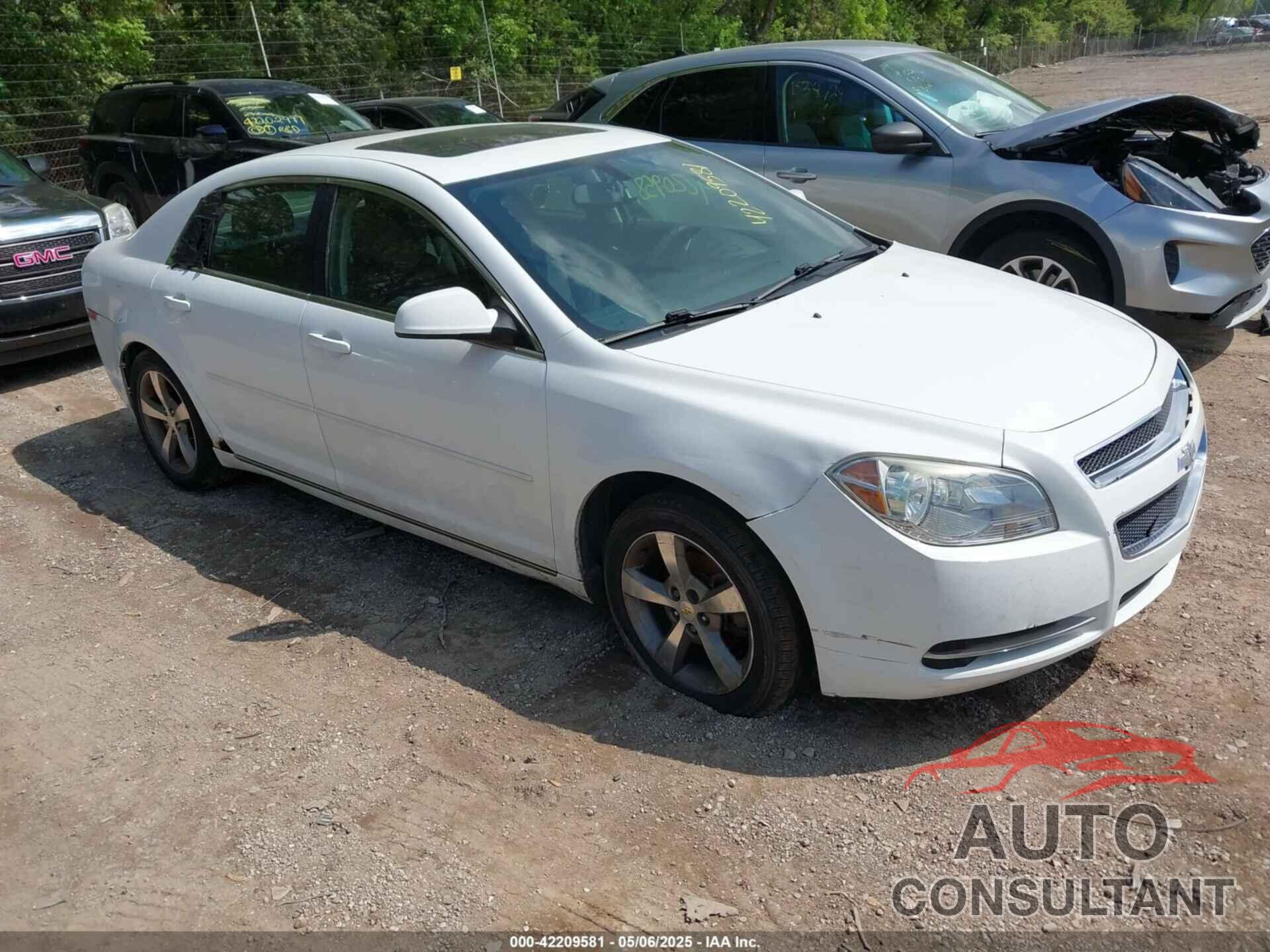CHEVROLET MALIBU 2011 - 1G1ZC5E19BF352130